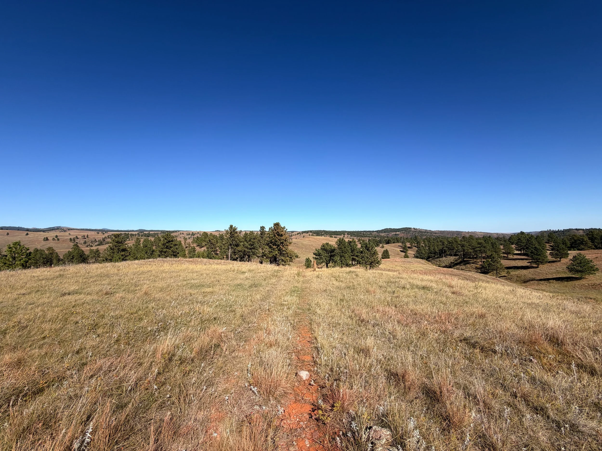 East Bison Flats Trail Wind Cave National Park South Dakota