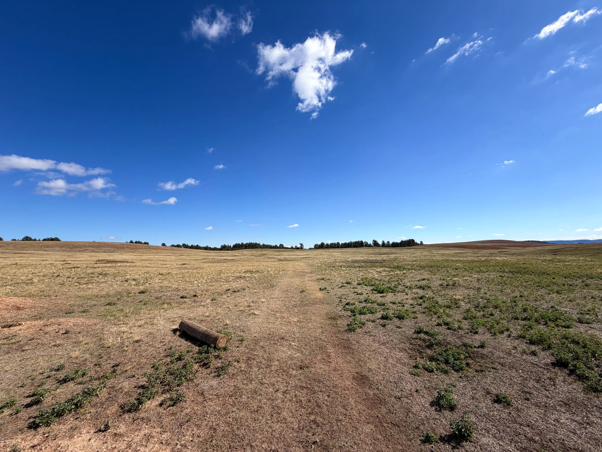 Lookout Point Hike Wind Cave National Park South Dakota