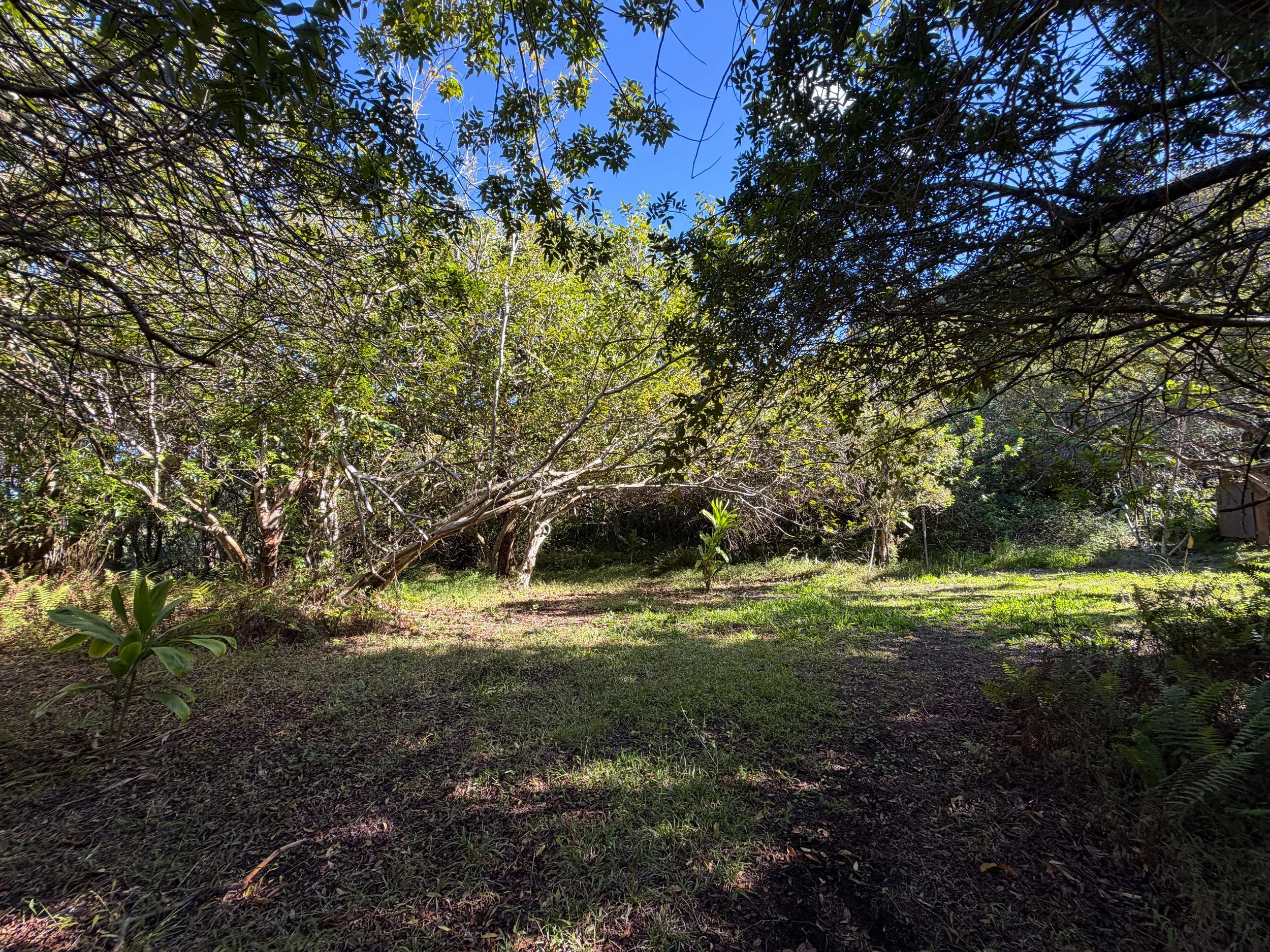 Mokuleia Trail Shelter Oahu Hawaii