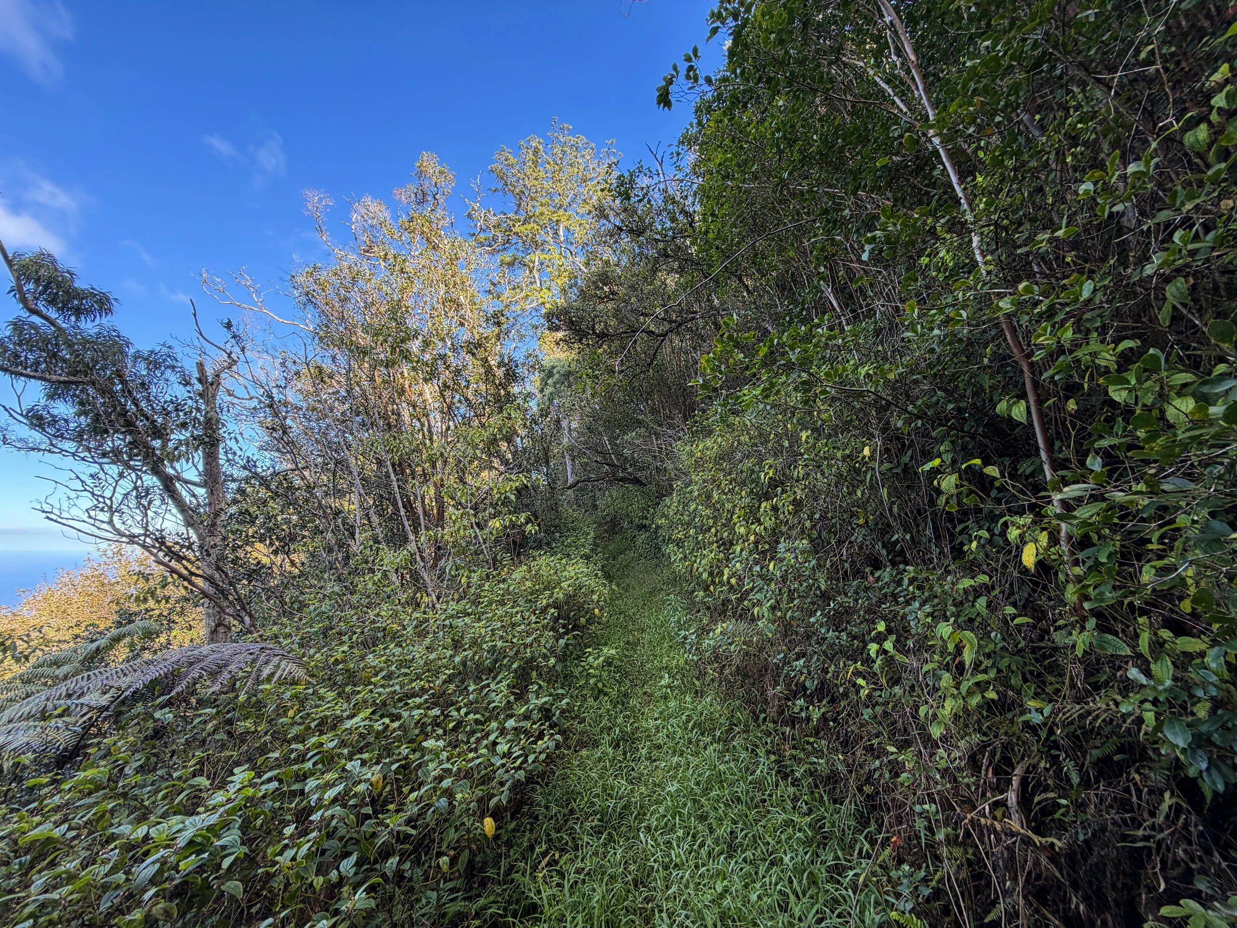 Mokuleia Trail Oahu Hawaii