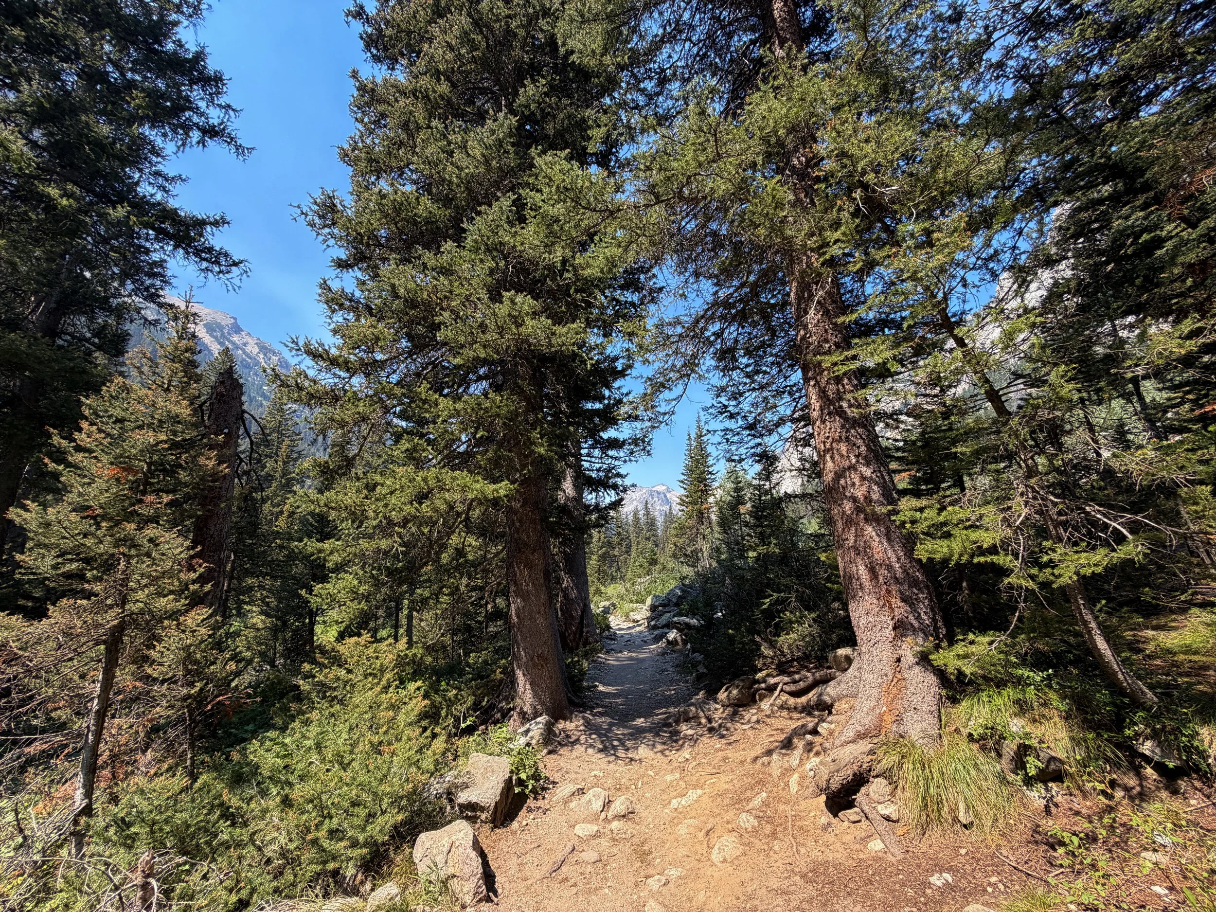 Cascade Canyon Trail Grand Teton National Park Wyoming
