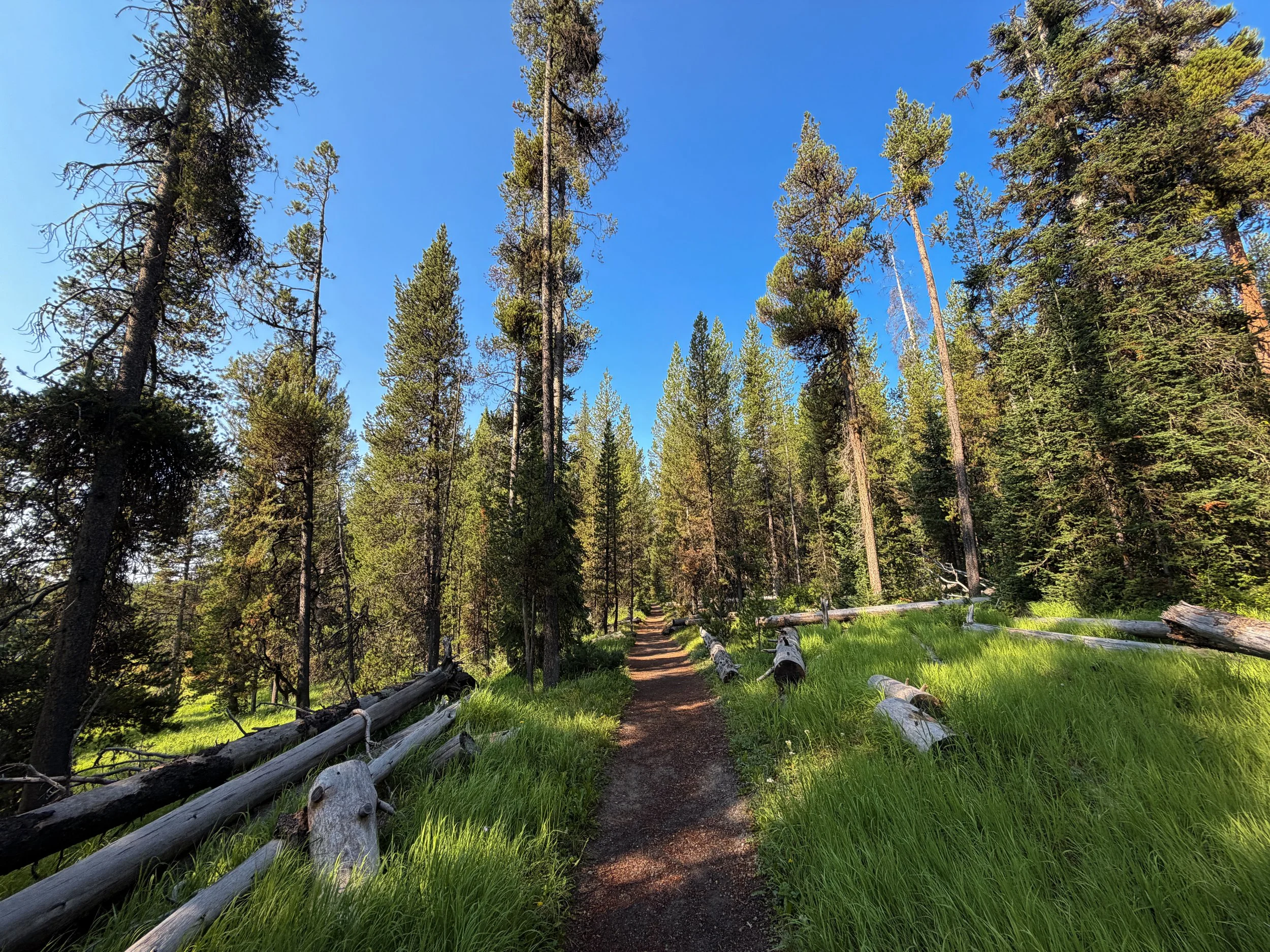 Natural Bridge Trail Yellowstone National Park Wyoming