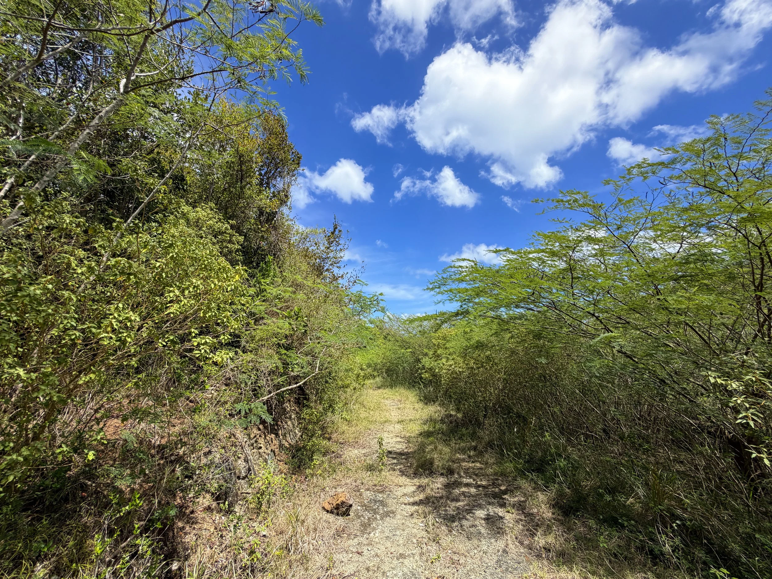 Water Catchment Trail Virgin Islands National Park
