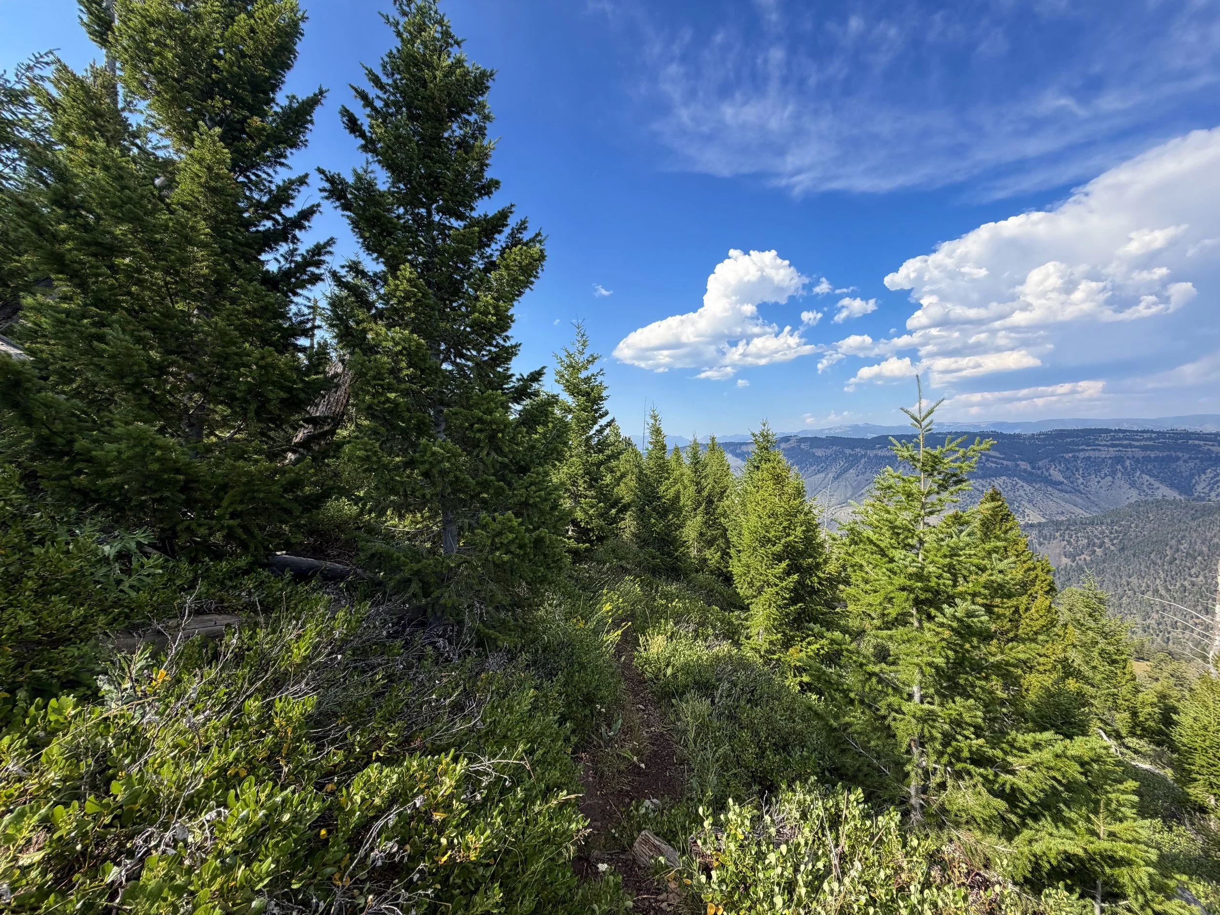 Bunsen Peak Trail Yellowstone National Park Wyoming
