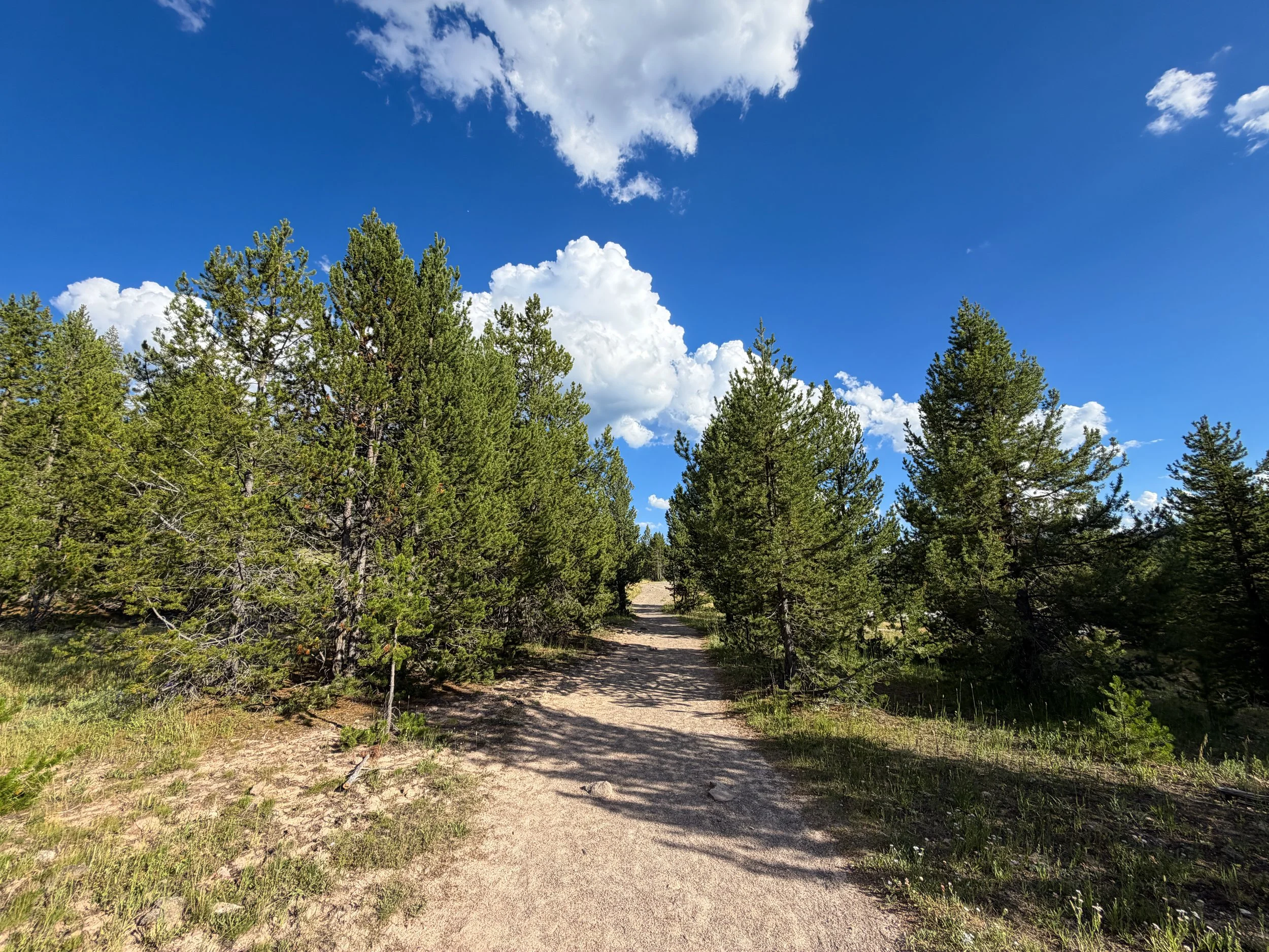 Artemisia Trailhead to the Morning Glory Pool Yellowstone National Park Wyoming