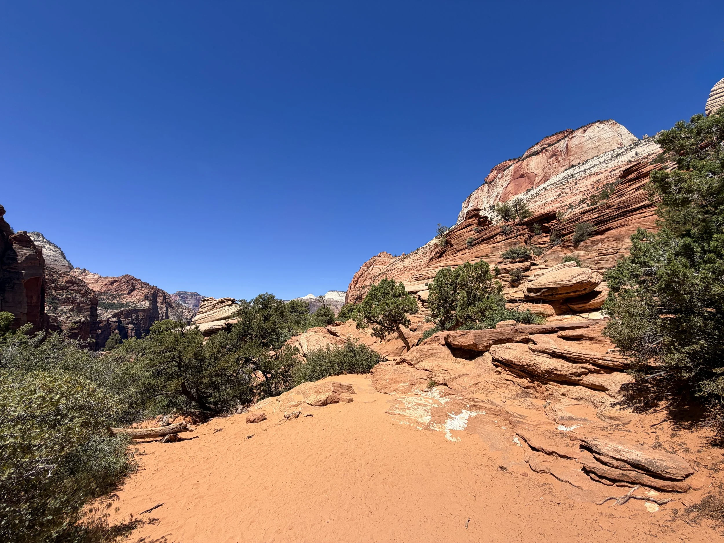 Canyon Overlook Trail Zion National Park Utah