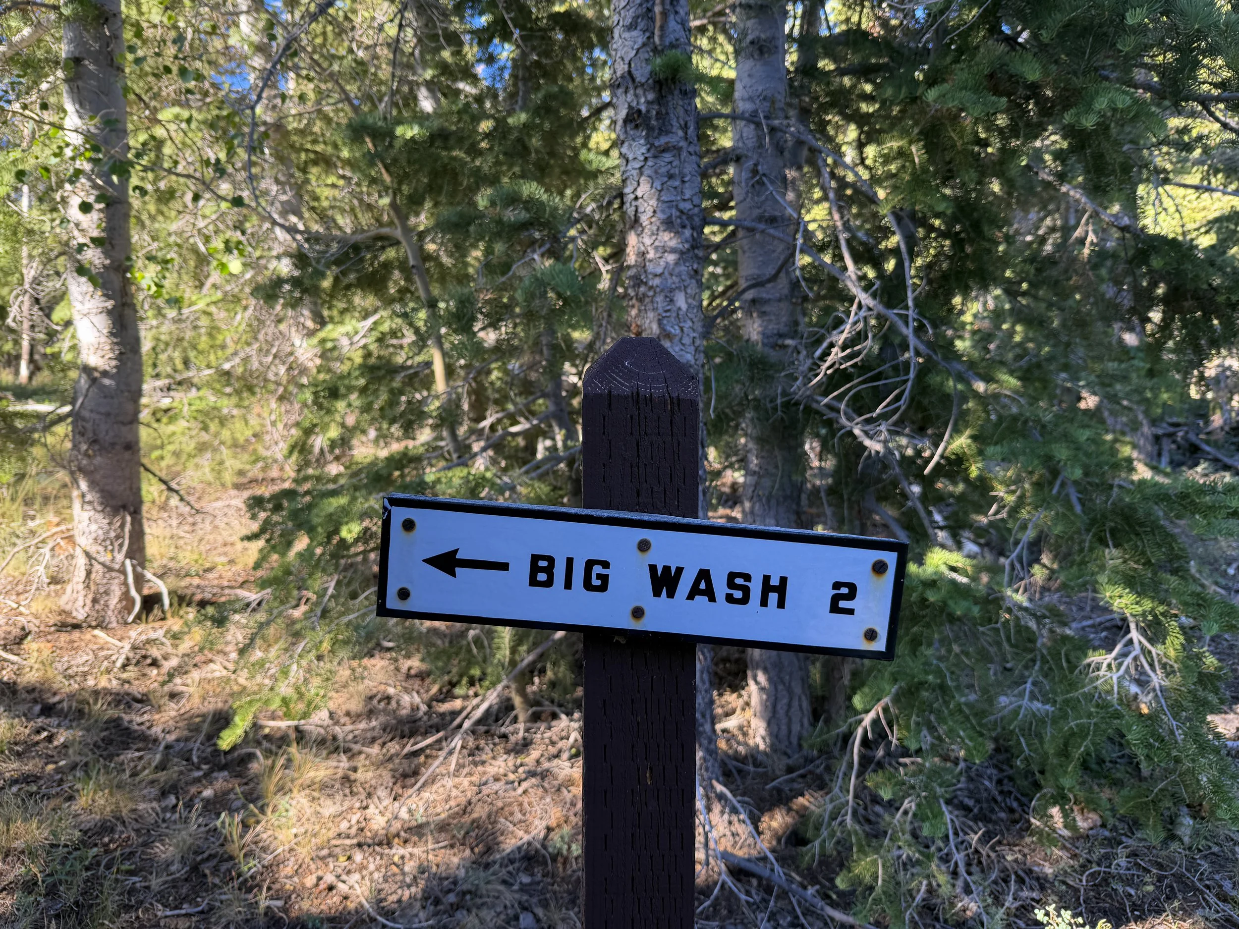 Snake Divide Trail Great Basin National Park Nevada
