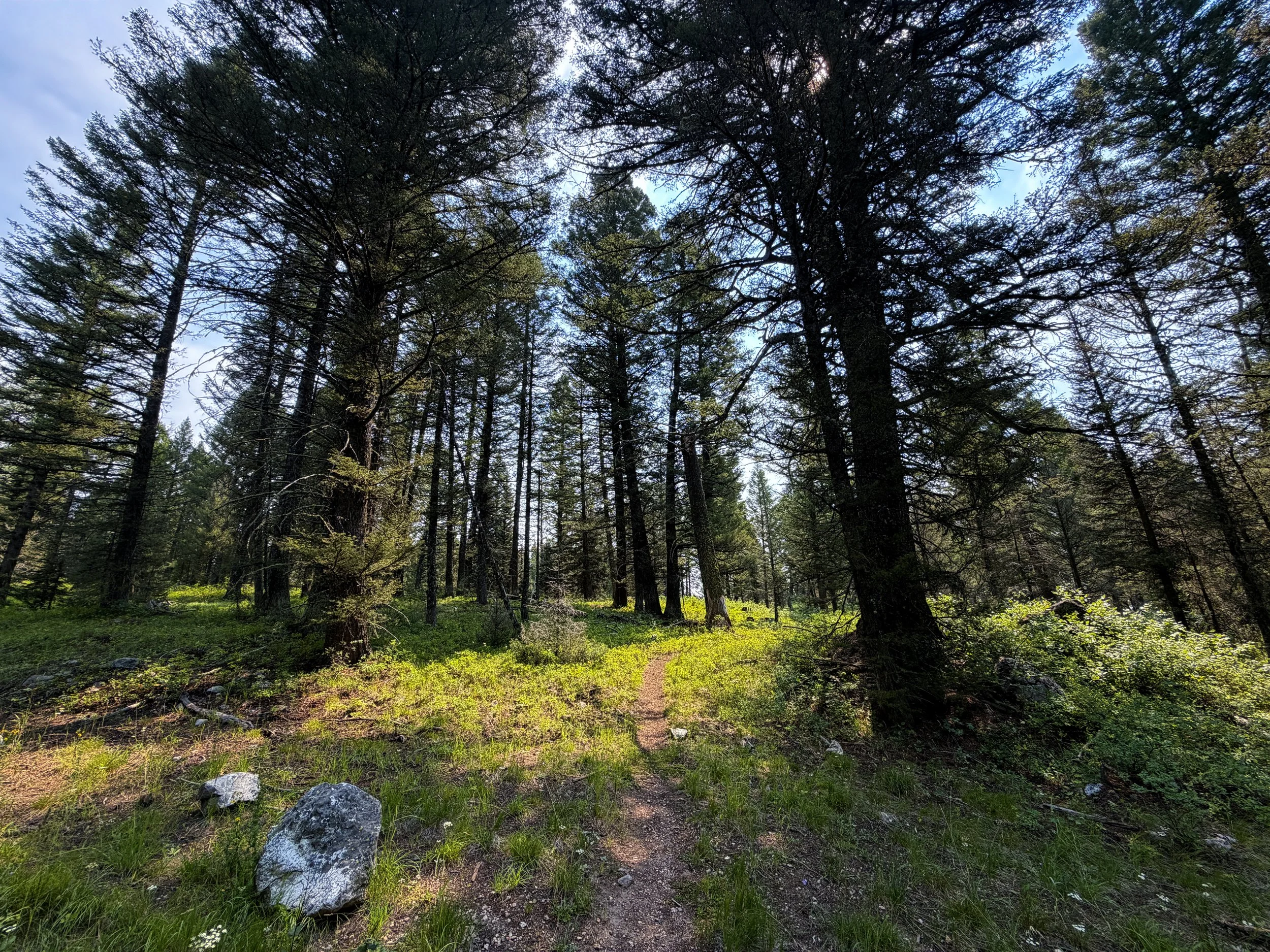 Boulder Ridge Loop Trail Grand Teton National Park Wyoming
