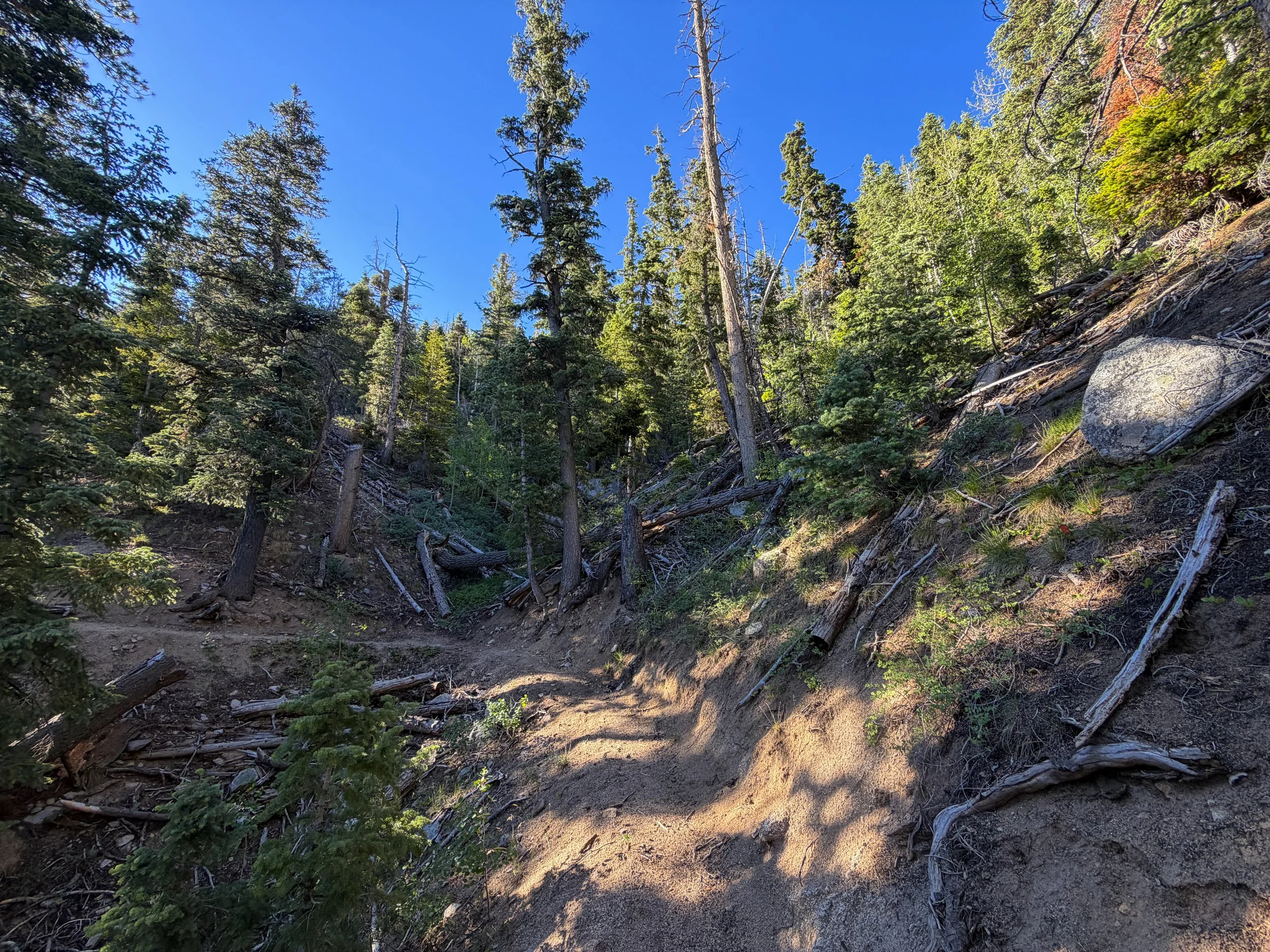 Snake Divide Trail Great Basin National Park Nevada