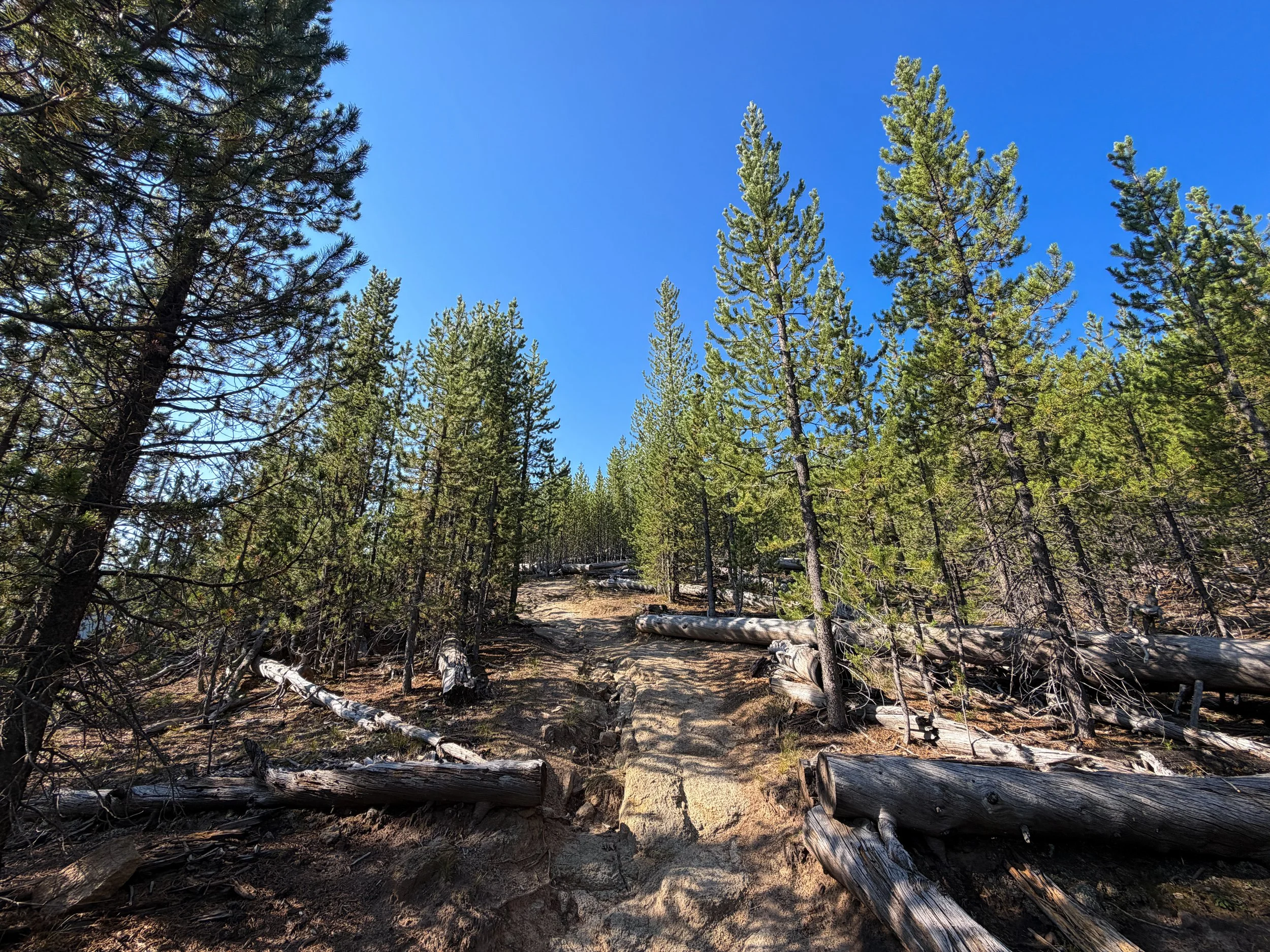 Monument Geyser Basin Hike Yellowstone National Park Wyoming