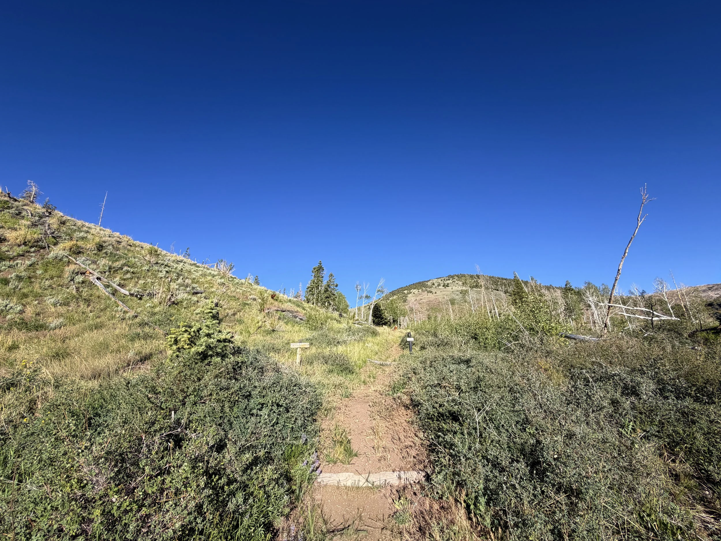 Upper Strawberry Trail Great Basin National Park Nevada