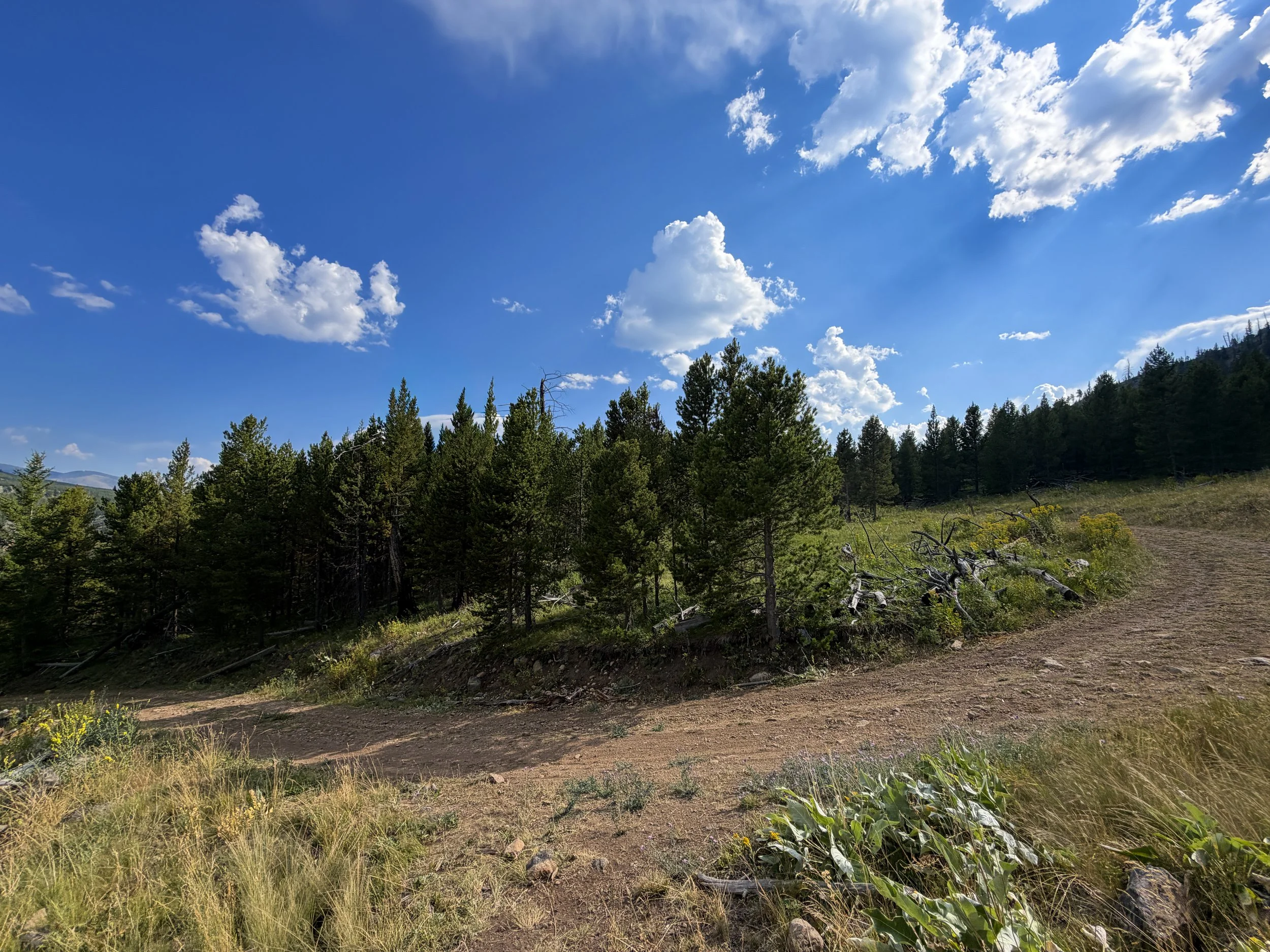 Bunsen Peak Trail to Osprey Falls Yellowstone National Park Wyoming