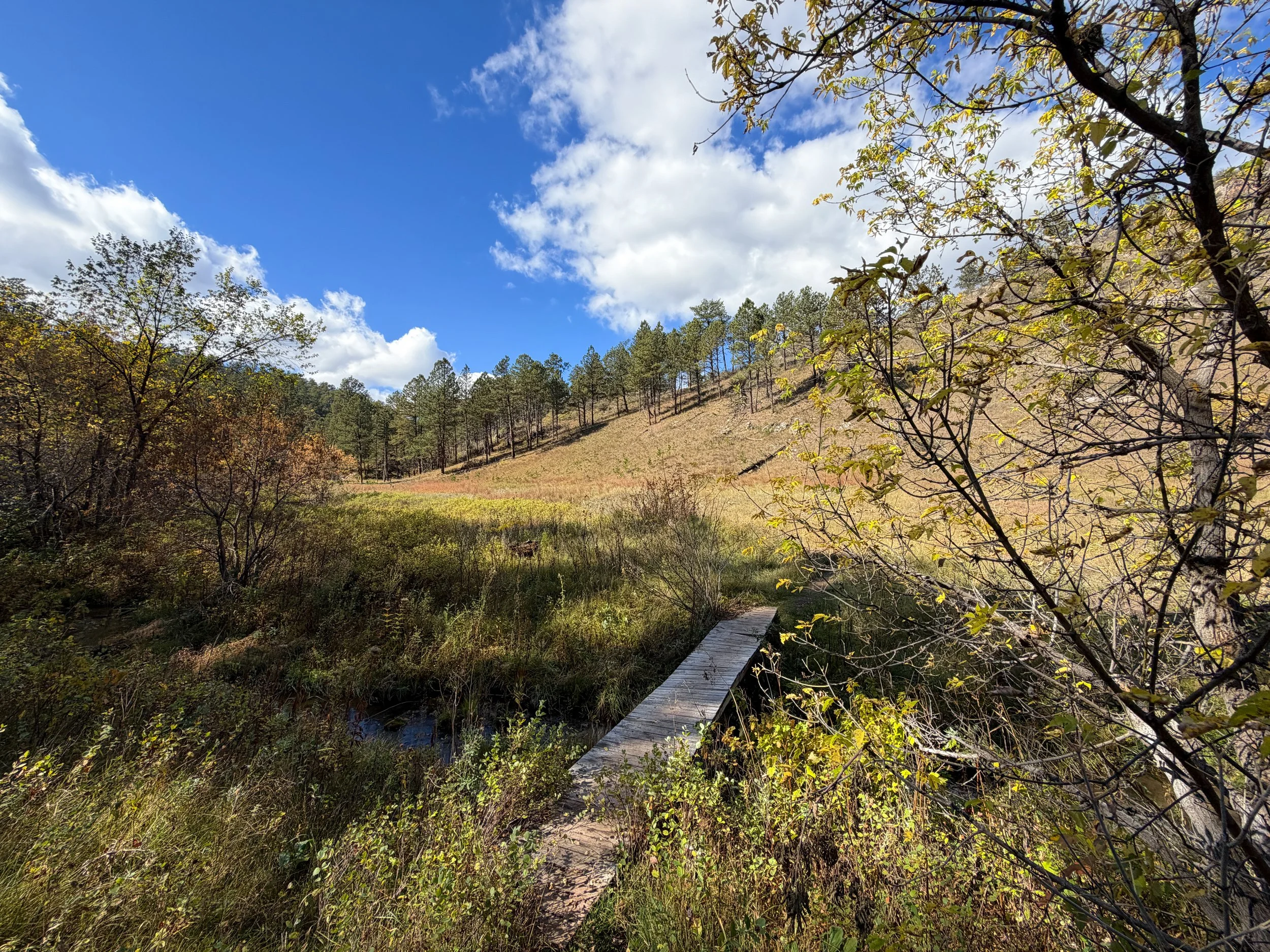 Lookout Point Loop Trail Wind Cave National Park South Dakota