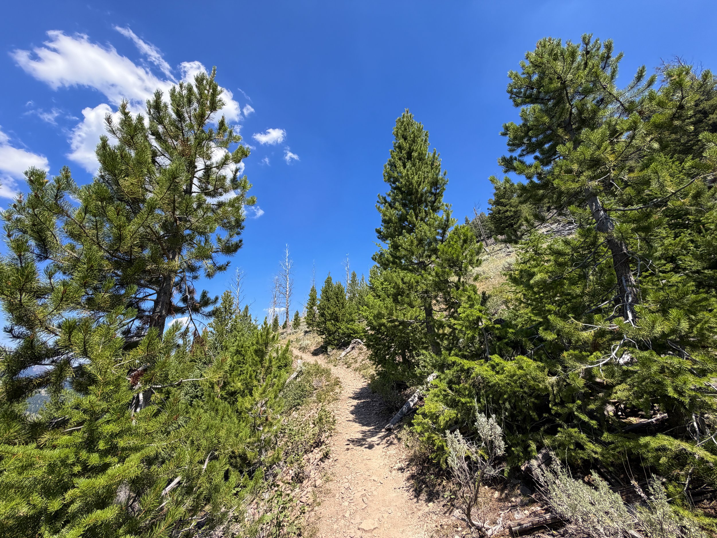 Bunsen Peak Hike Yellowstone National Park Wyoming