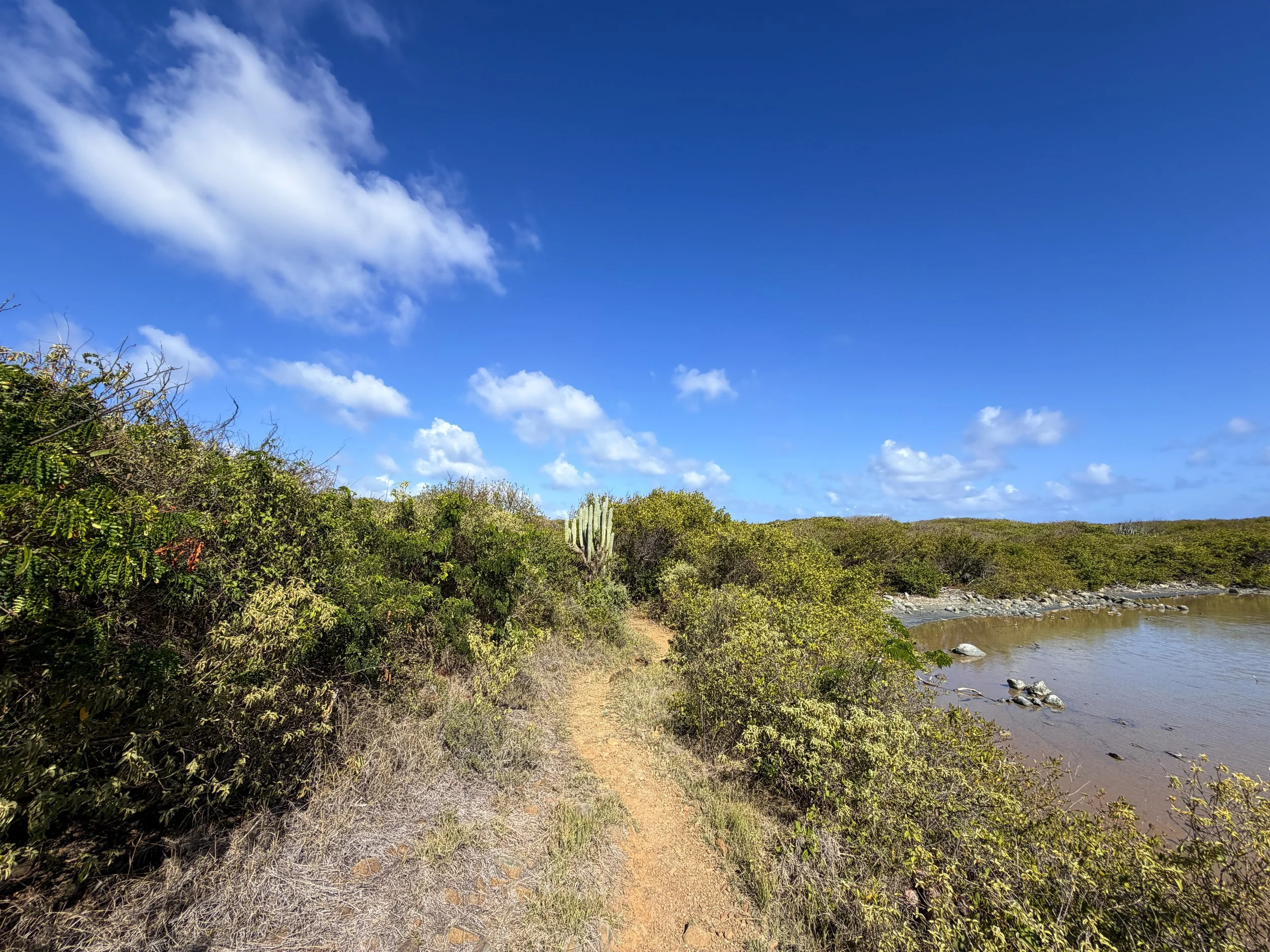 Drunk Bay Hike Virgin Islands National Park