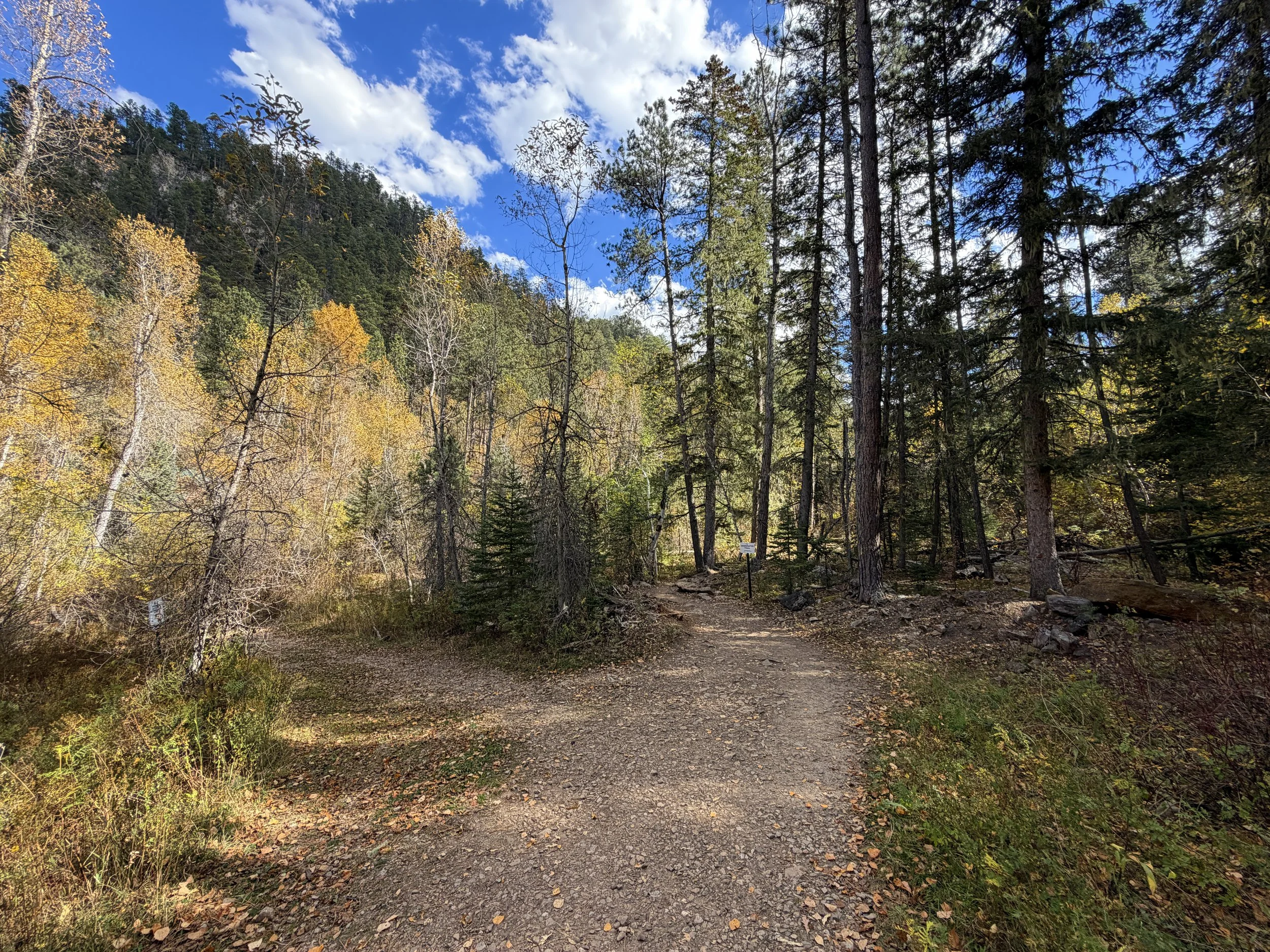 Devils Bathtub Hike Spearfish Canyon Black Hills South Dakota