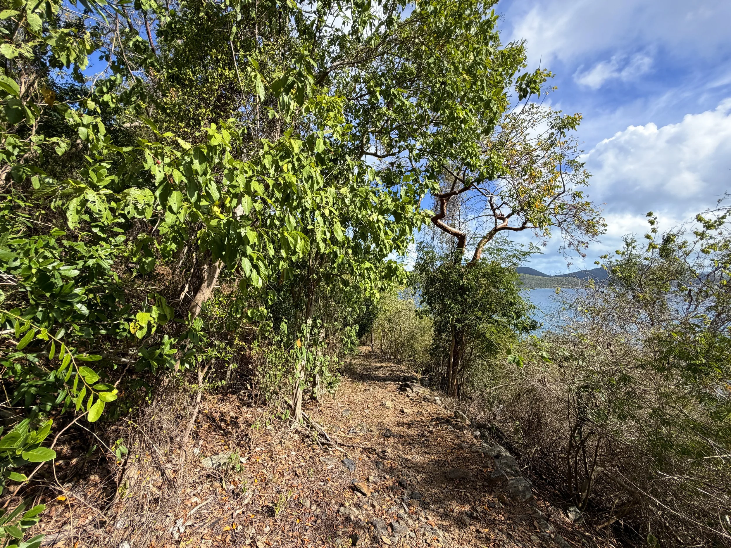Brown Bay Hike Virgin Islands National Park