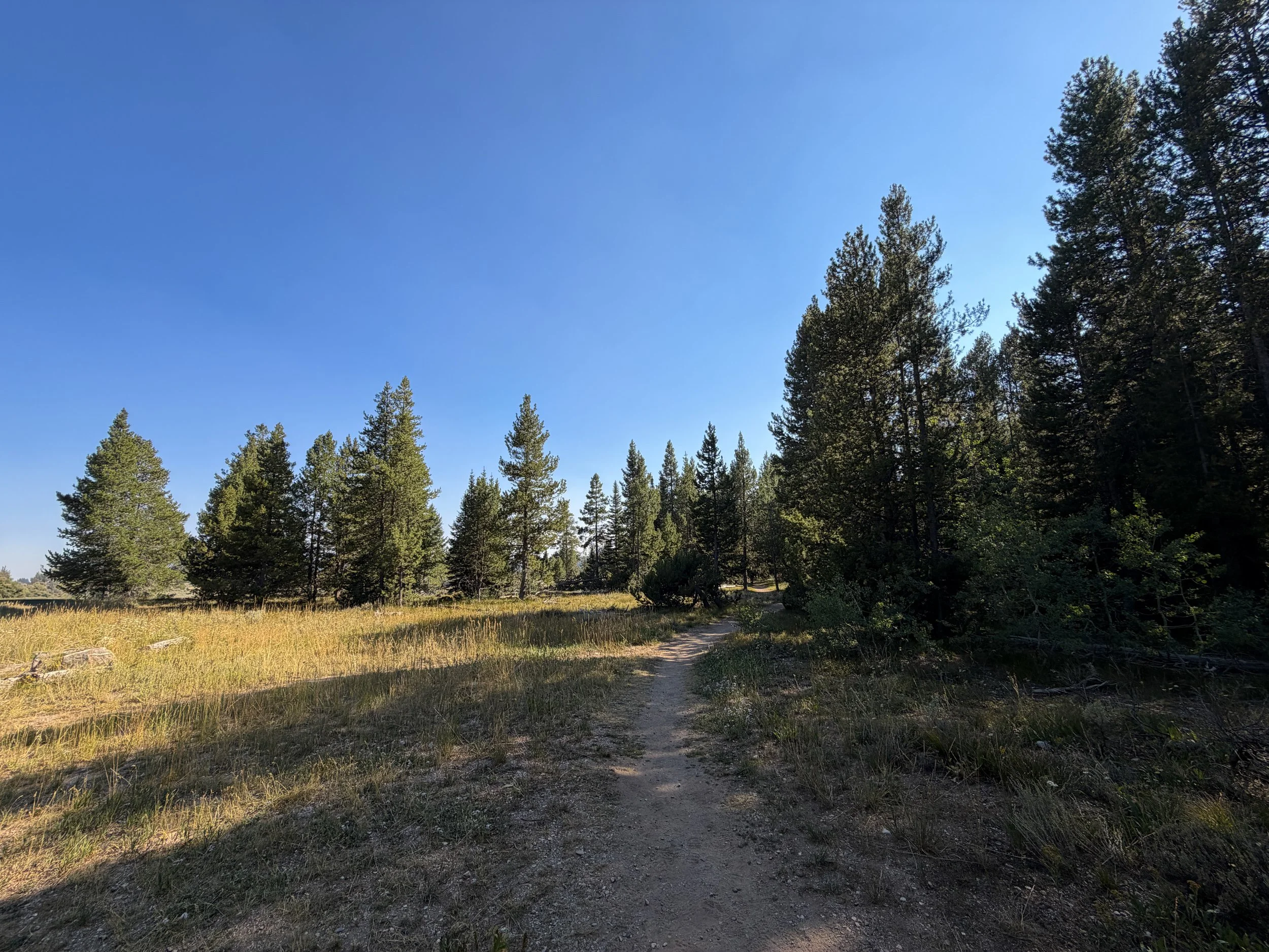 Moose Ponds Loop Trail Grand Teton National Park Wyoming