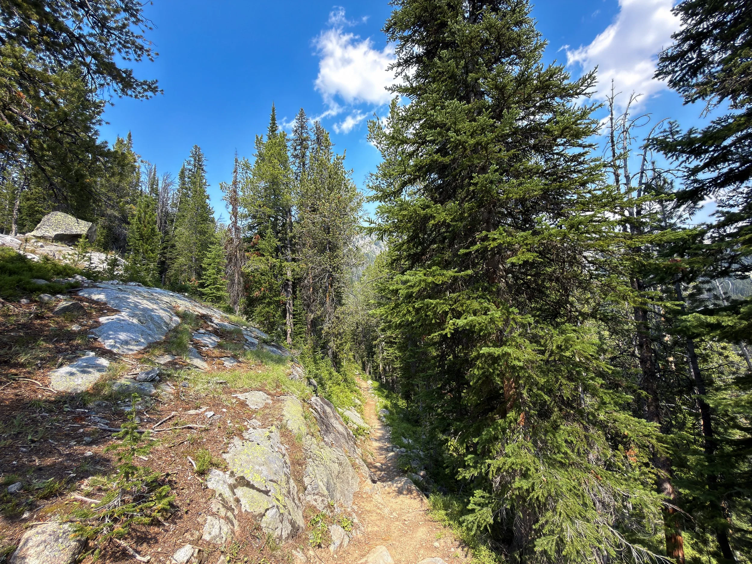 Russell Creek Trail The Beaten Path Beartooth Mountains Montana