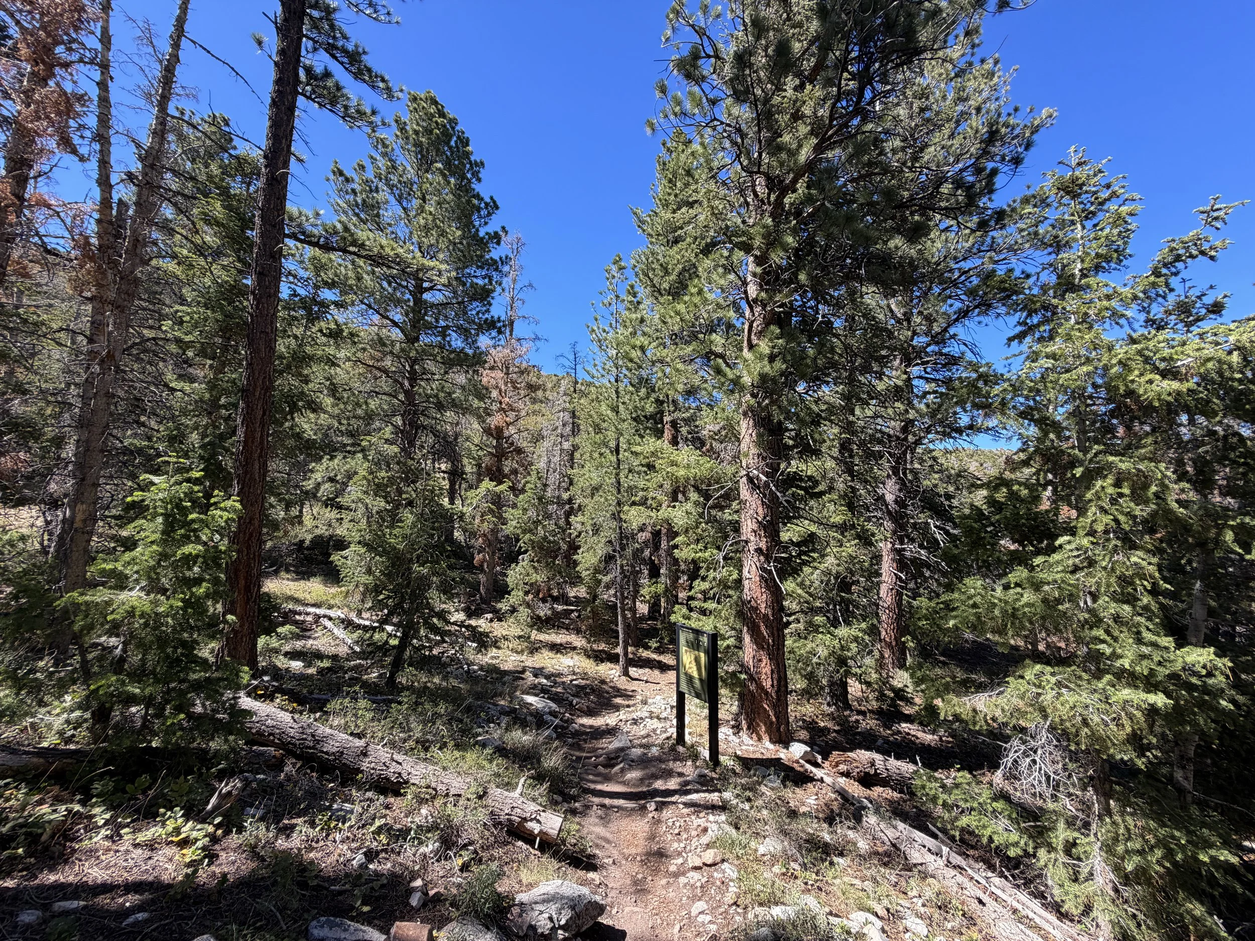 Osceola Ditch Trail Great Basin National Park Nevada