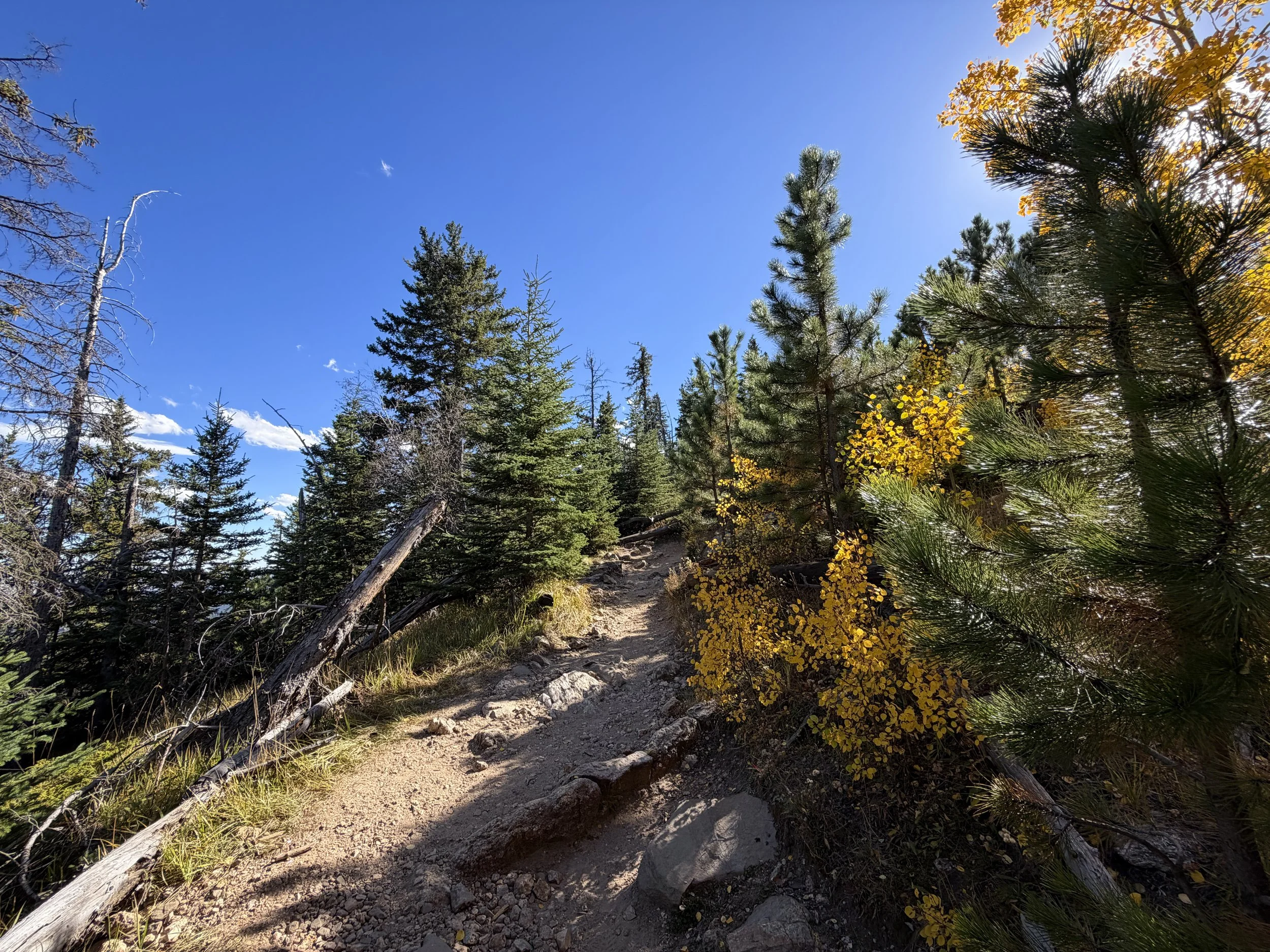 Black Elk Peak Trail to Harney Peak Lookout Black Hills South Dakota