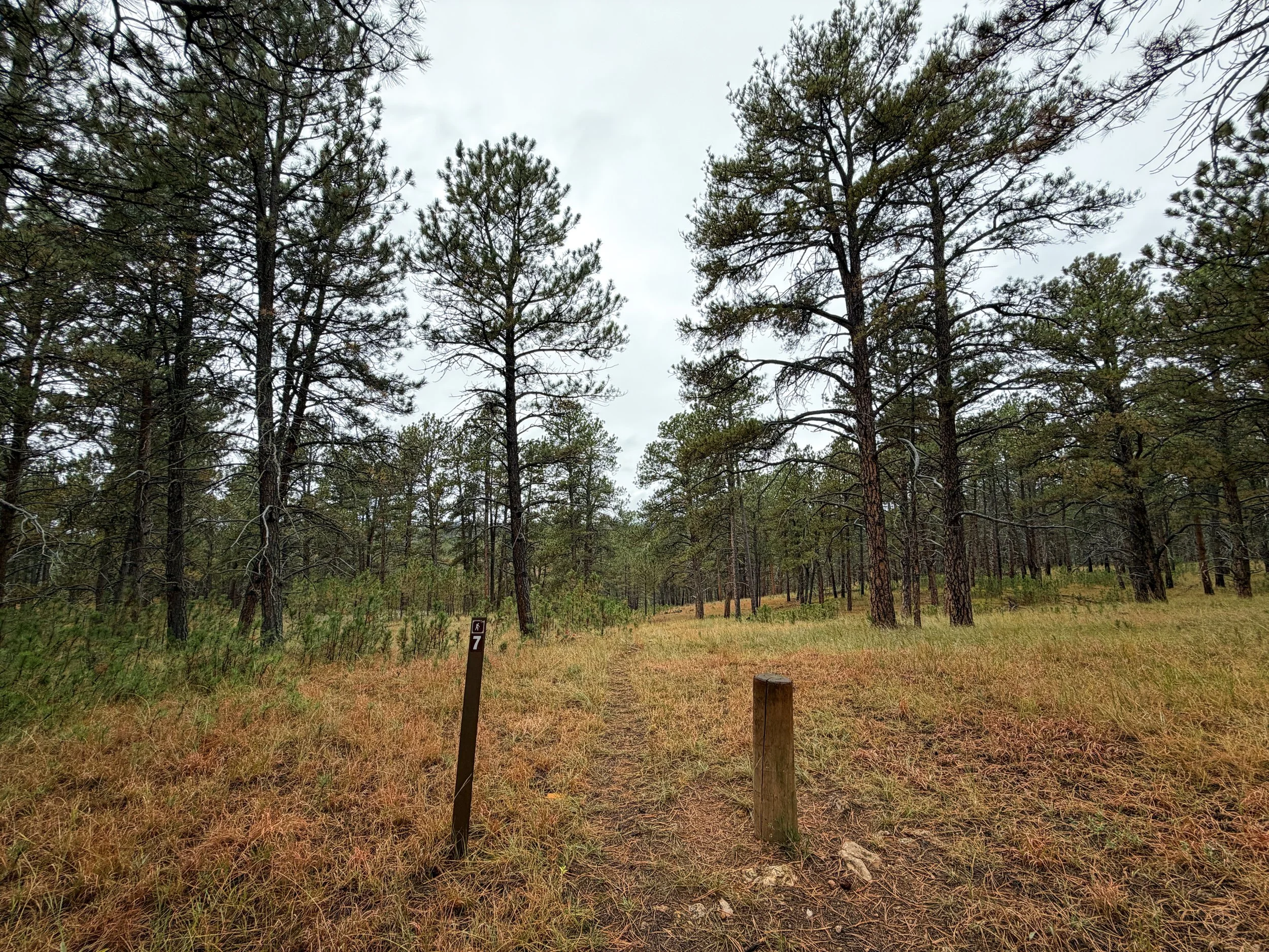 Highland Creek Trail Wind Cave National Park South Dakota