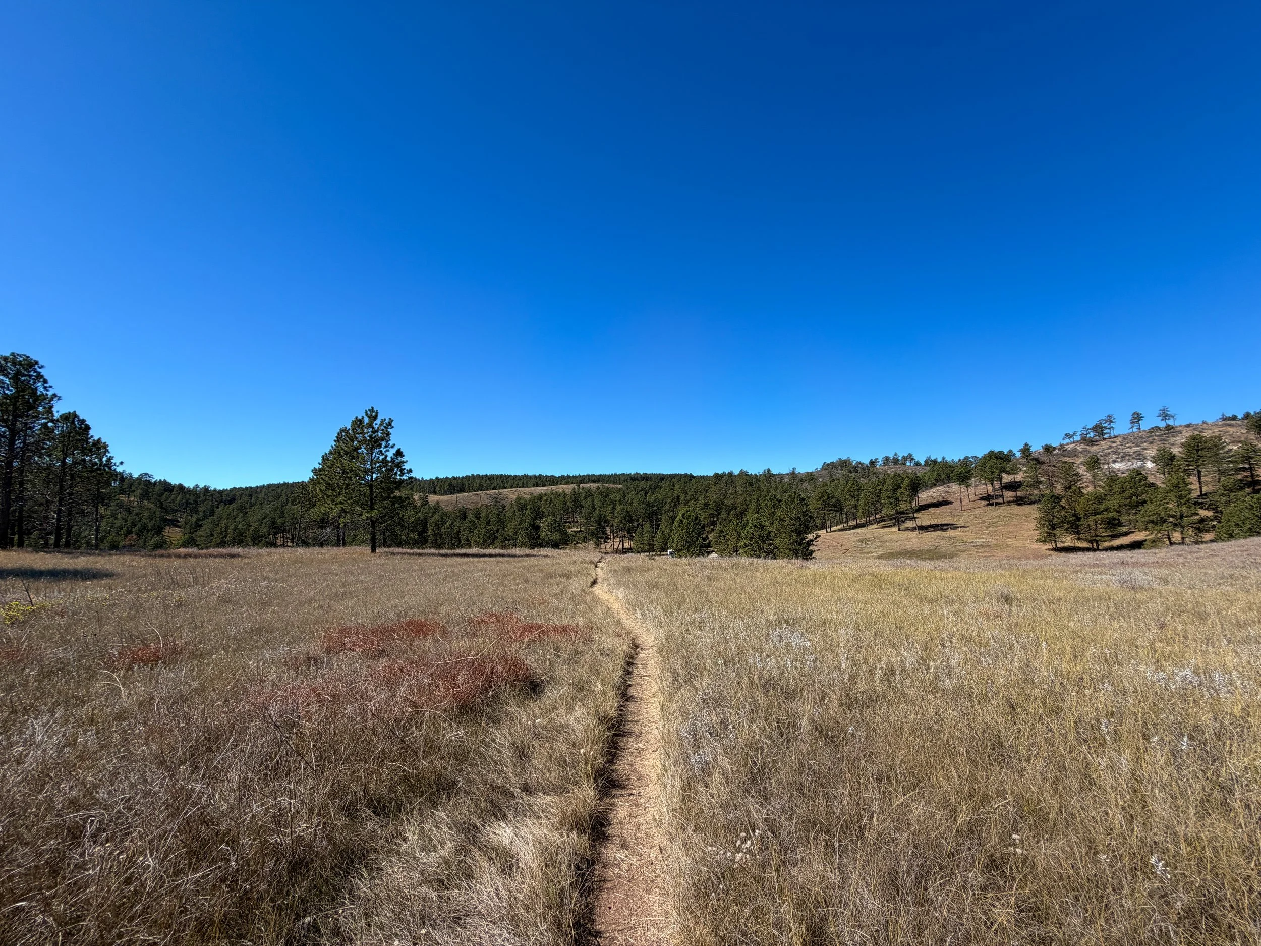 Elk Mountain Loop Trail Wind Cave National Park South Dakota