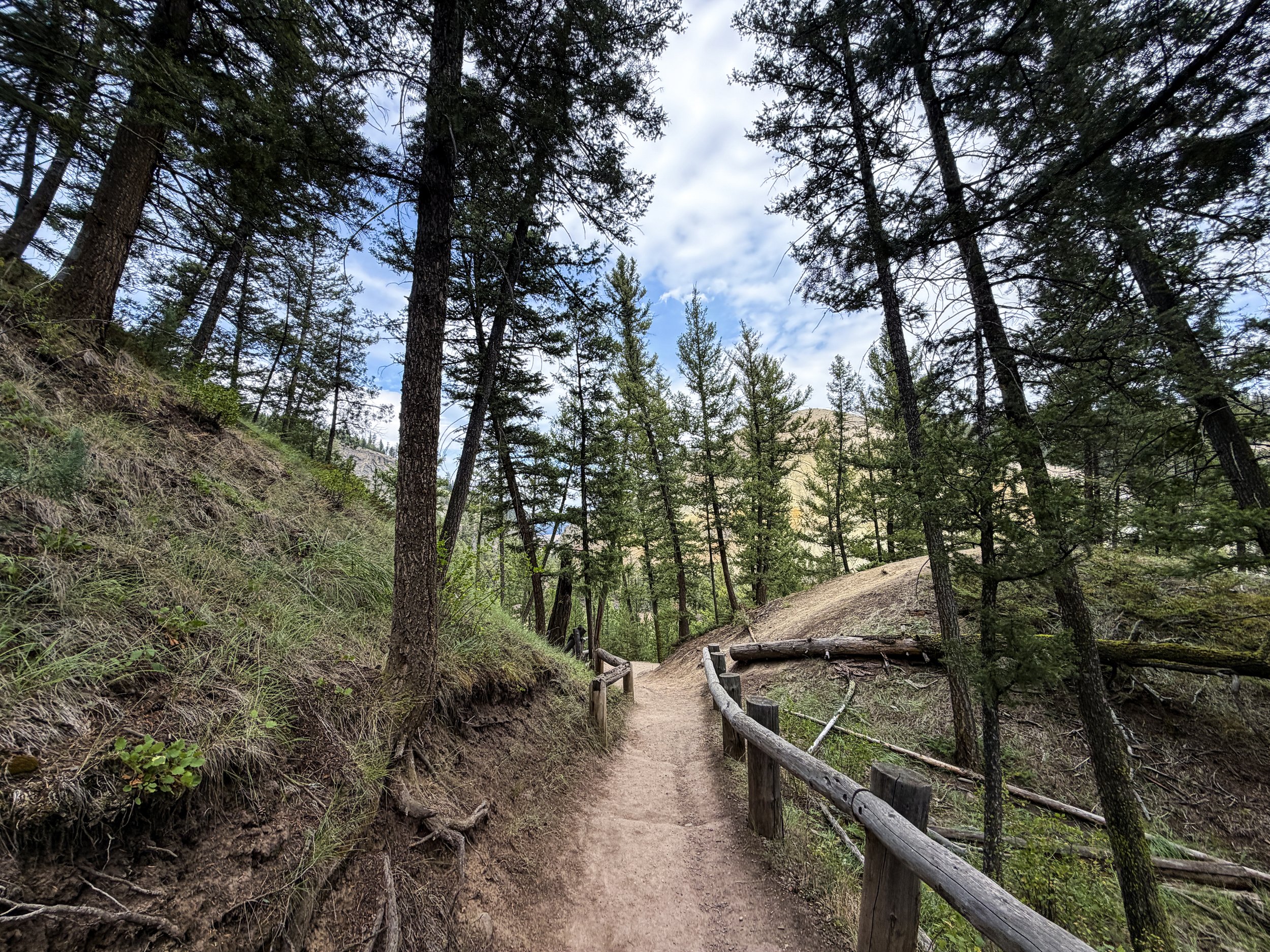 Tower Falls Trail Yellowstone National Park Wyoming