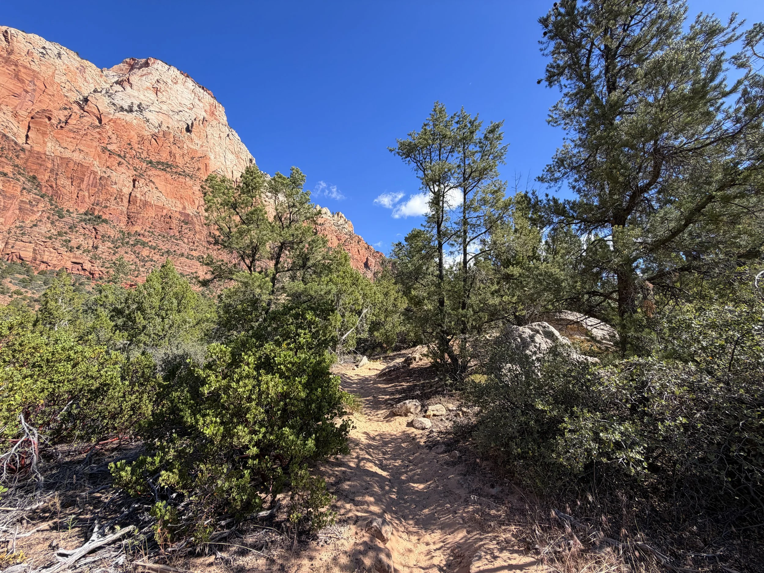 Sand Bench Trail Zion National Park Utah