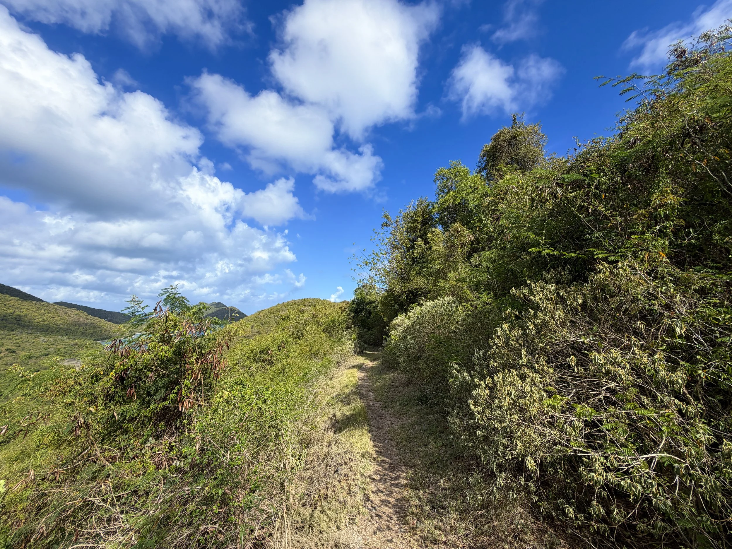 Johnny Horn Hike Virgin Islands National Park