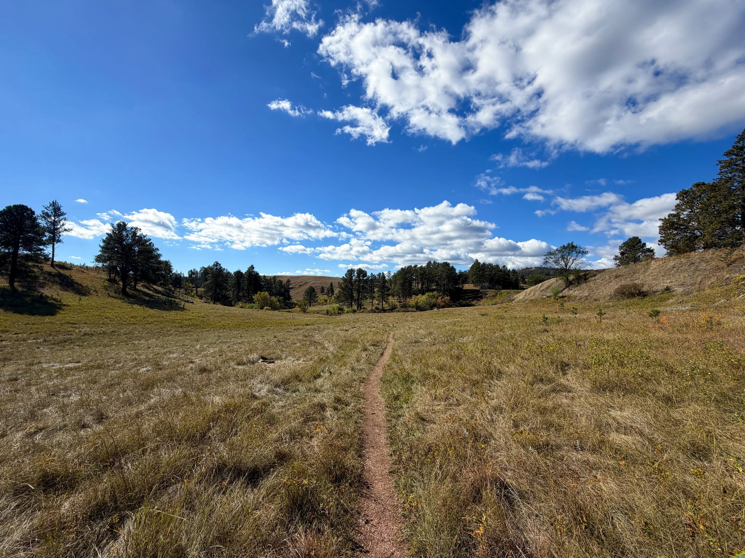 Lookout Point Loop Trail Wind Cave National Park South Dakota