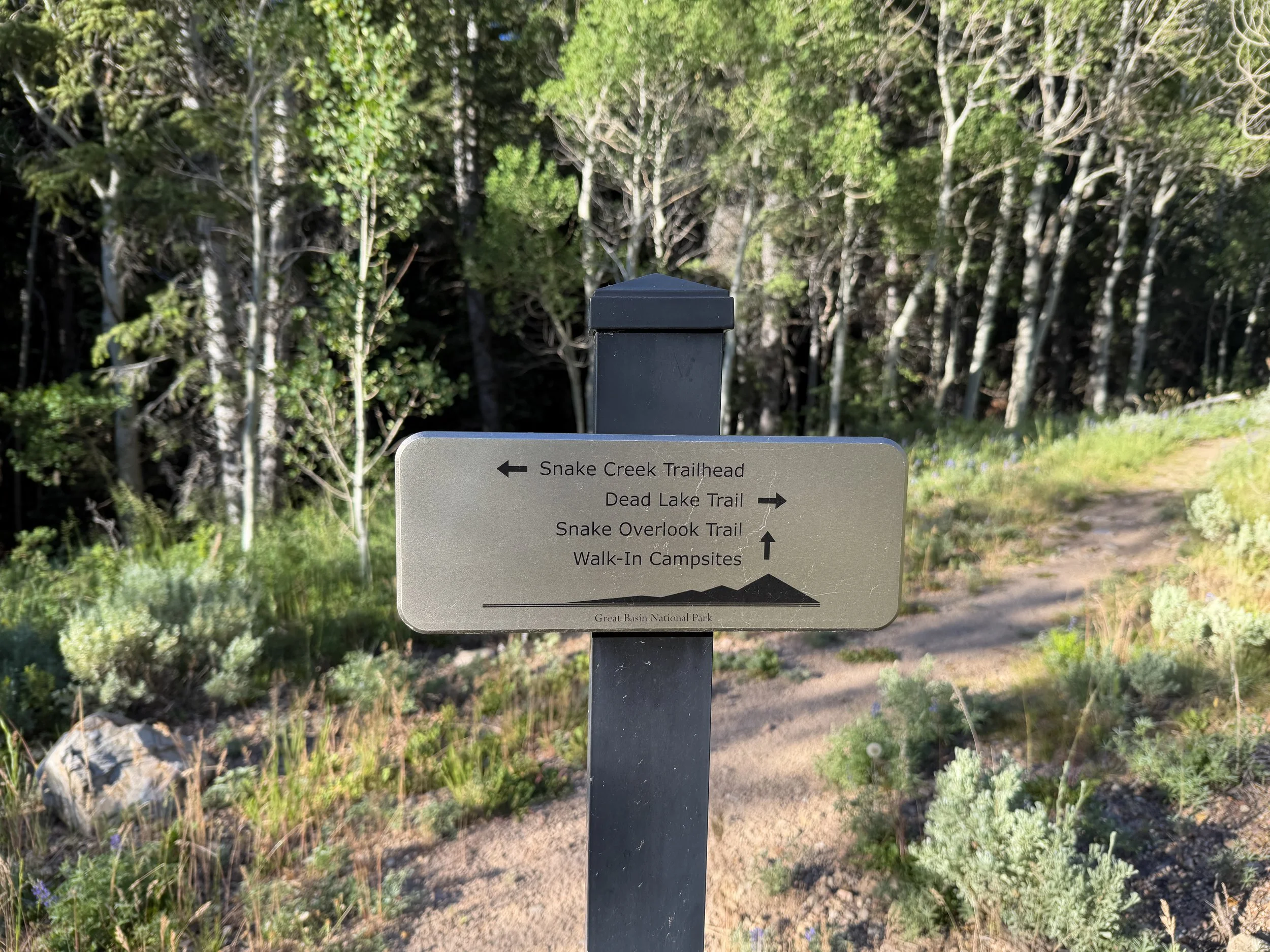 Snake Creek Overlook Trail Great Basin National Park Nevada