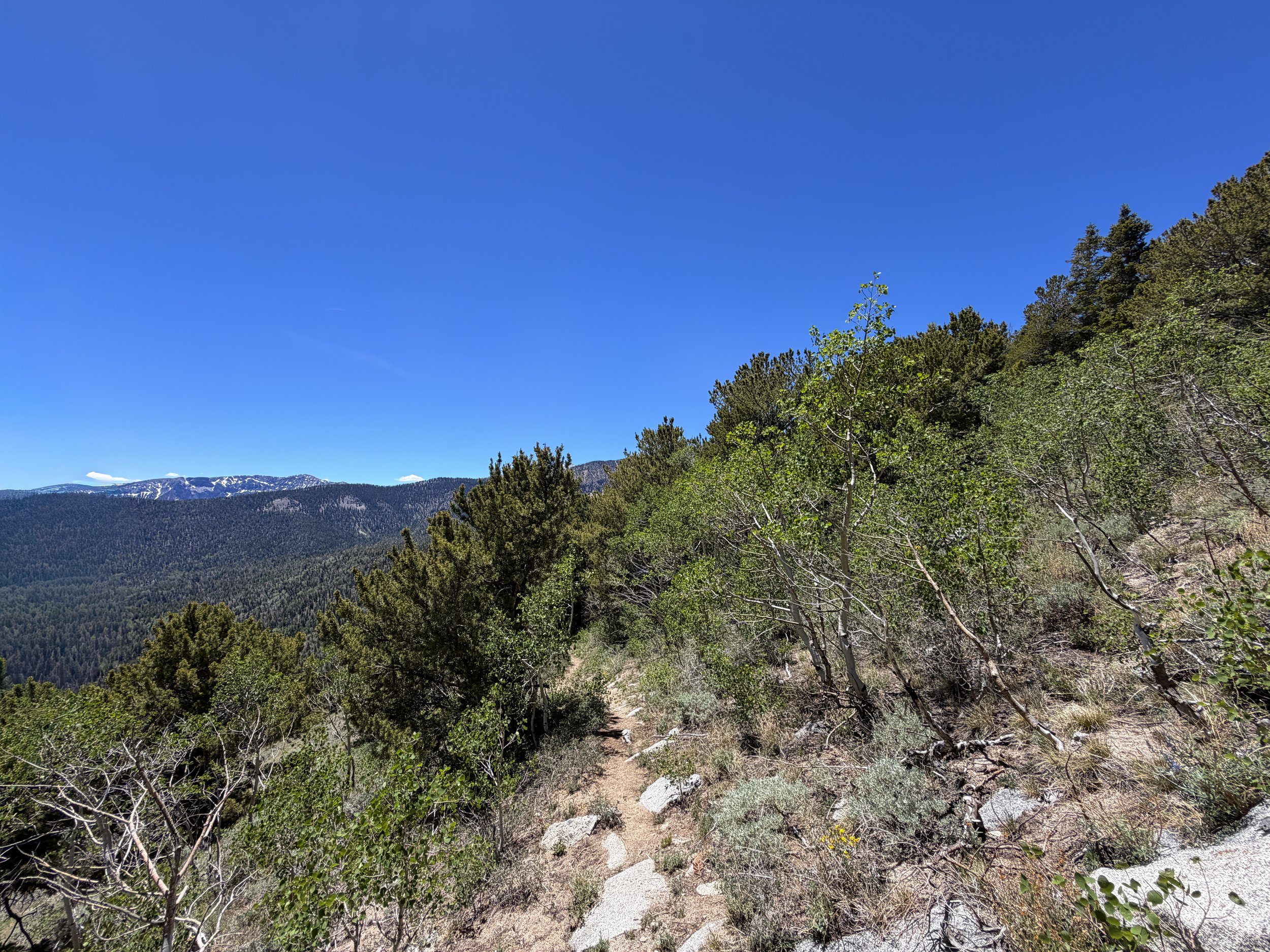 Timber Creek Trail to Johnson Lake Great Basin National Park Nevada