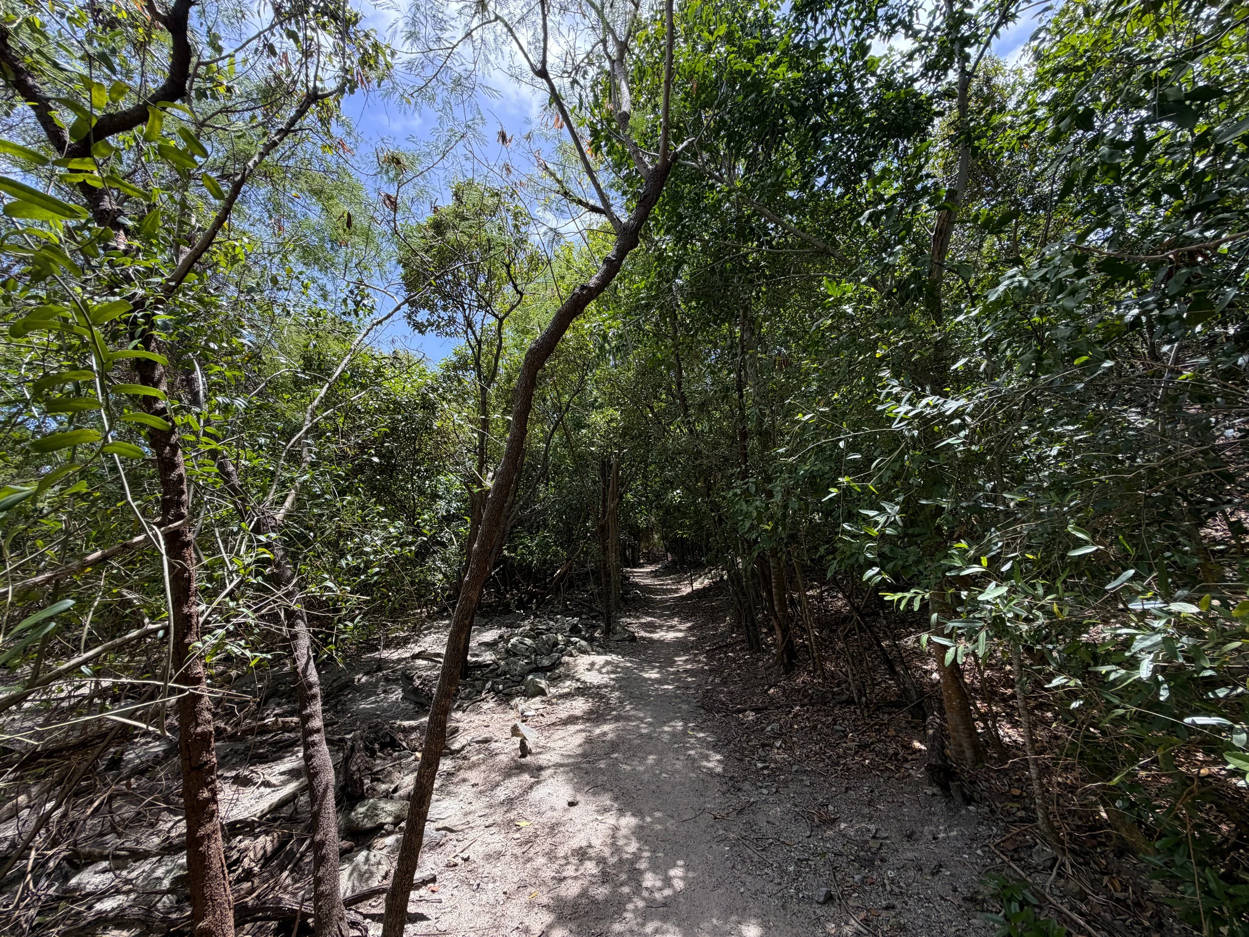 Reef Bay Trail Virgin Islands National Park