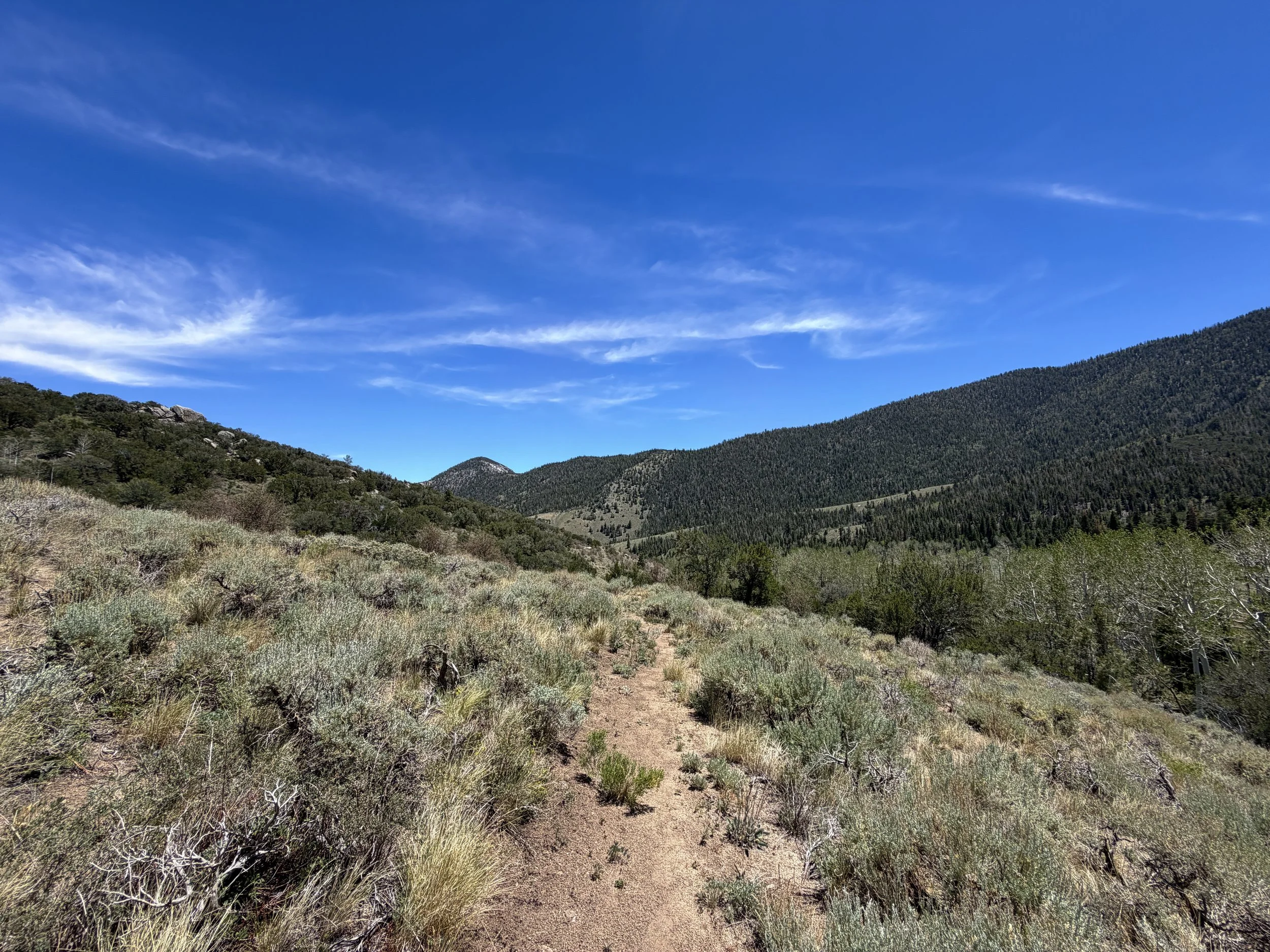 Serviceberry Loop Trail Great Basin National Park Nevada