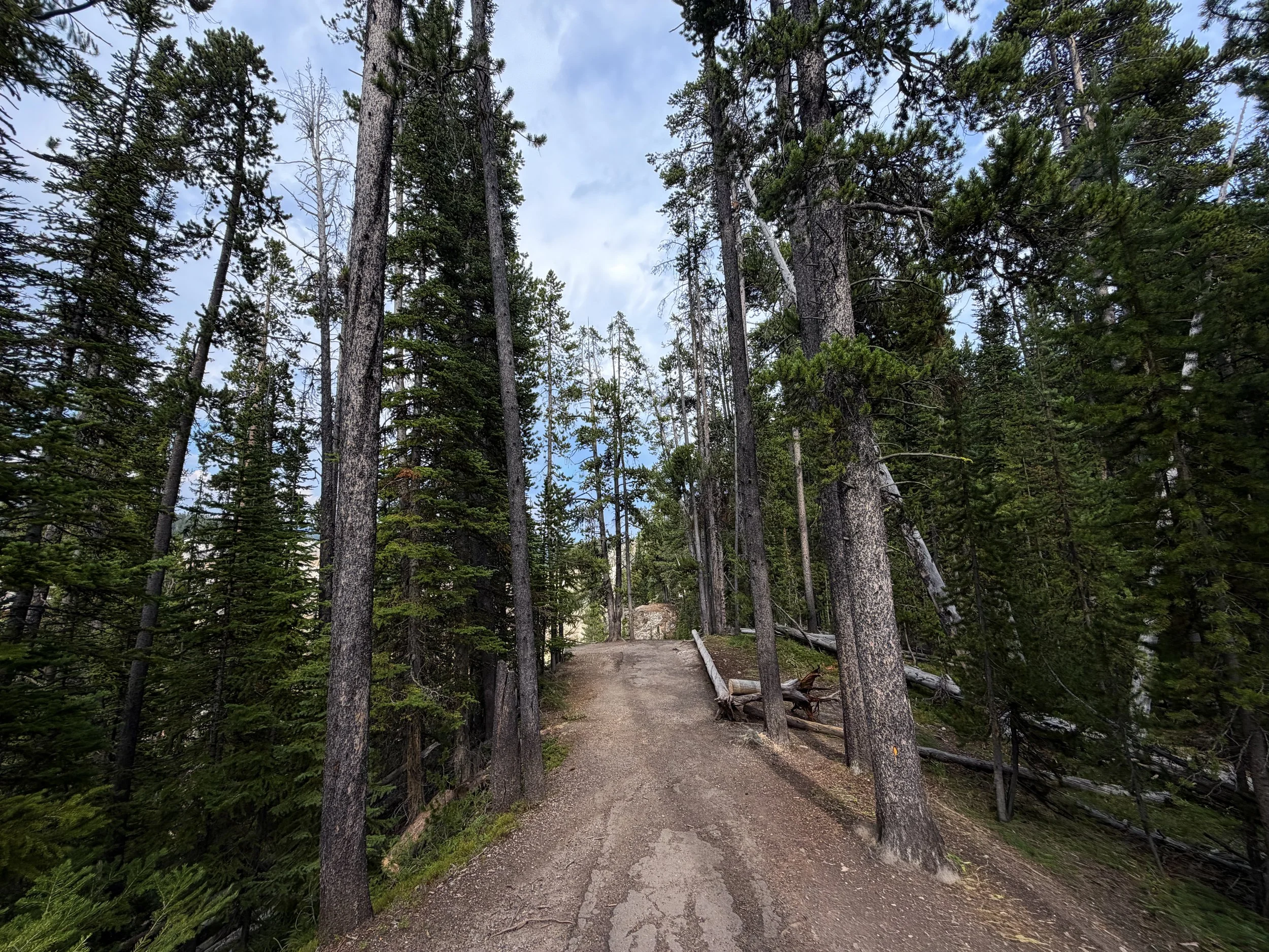 South Rim Trail Yellowstone National Park Wyoming