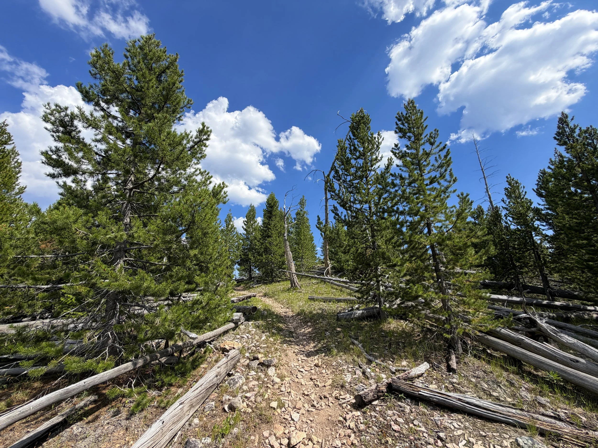 Bunsen Peak Trail Yellowstone National Park Wyoming