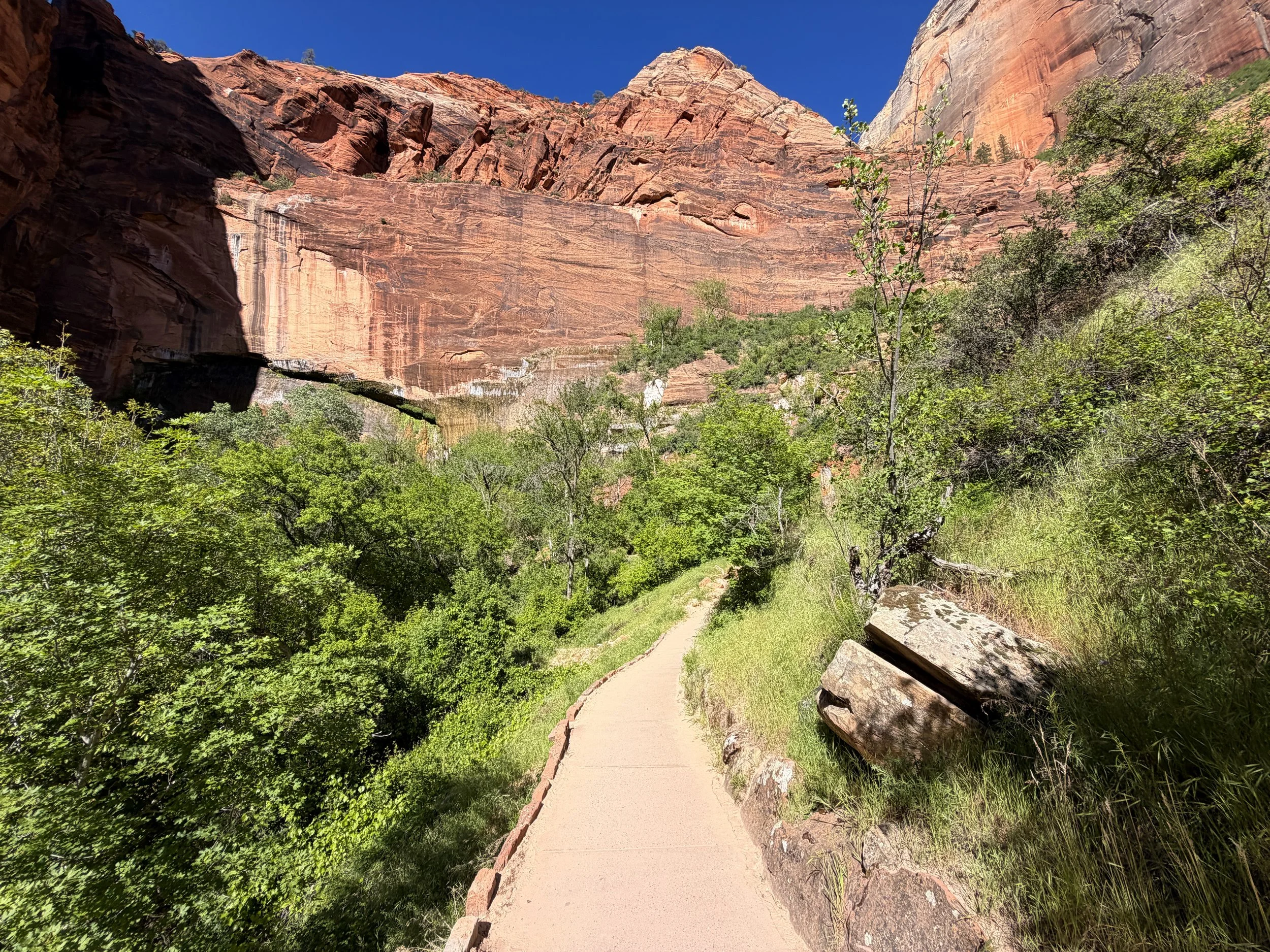 Weeping Rock Trail Zion National Park Utah