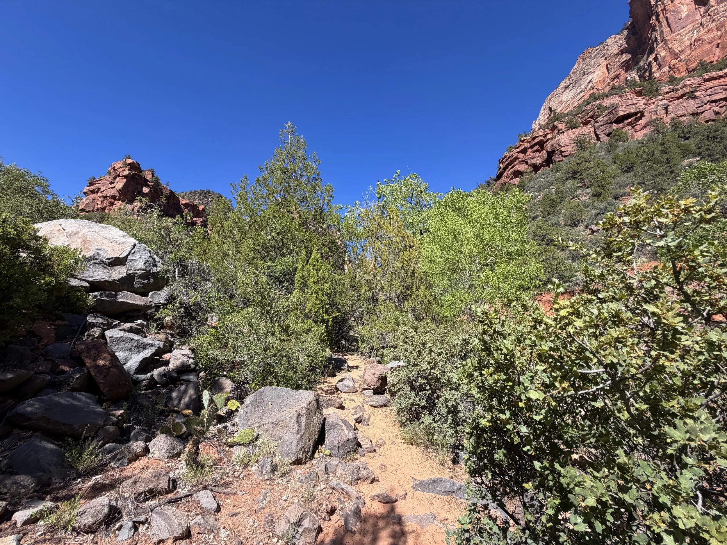 Subway Hike Zion National Park Utah
