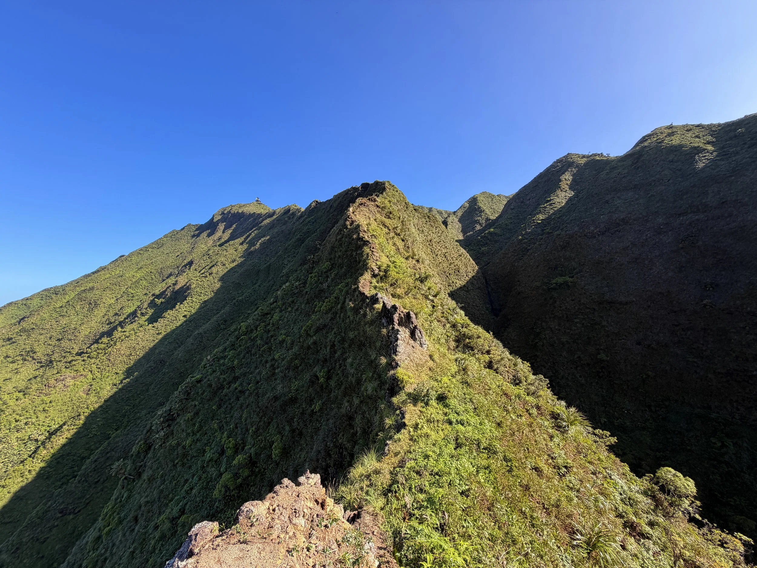 Moanalua Saddle KST Oahu Hawaii