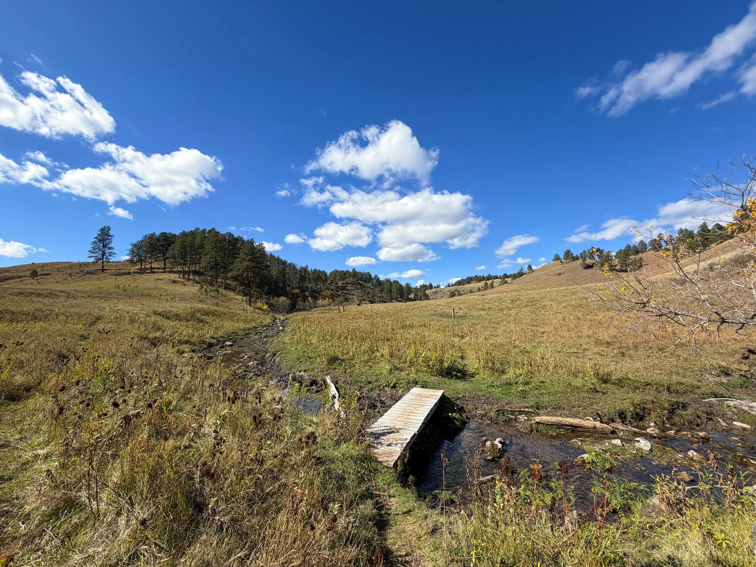 Lookout Point Loop Trail Wind Cave National Park South Dakota