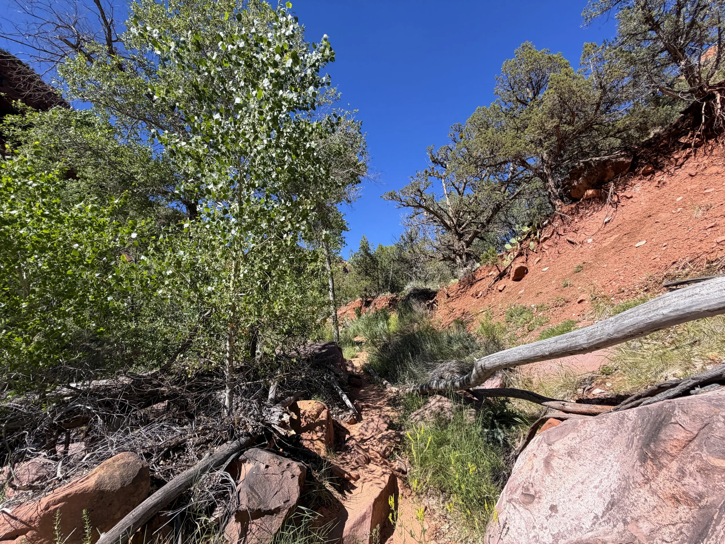 Subway Trail Bottom–Up Route Zion National Park Utah