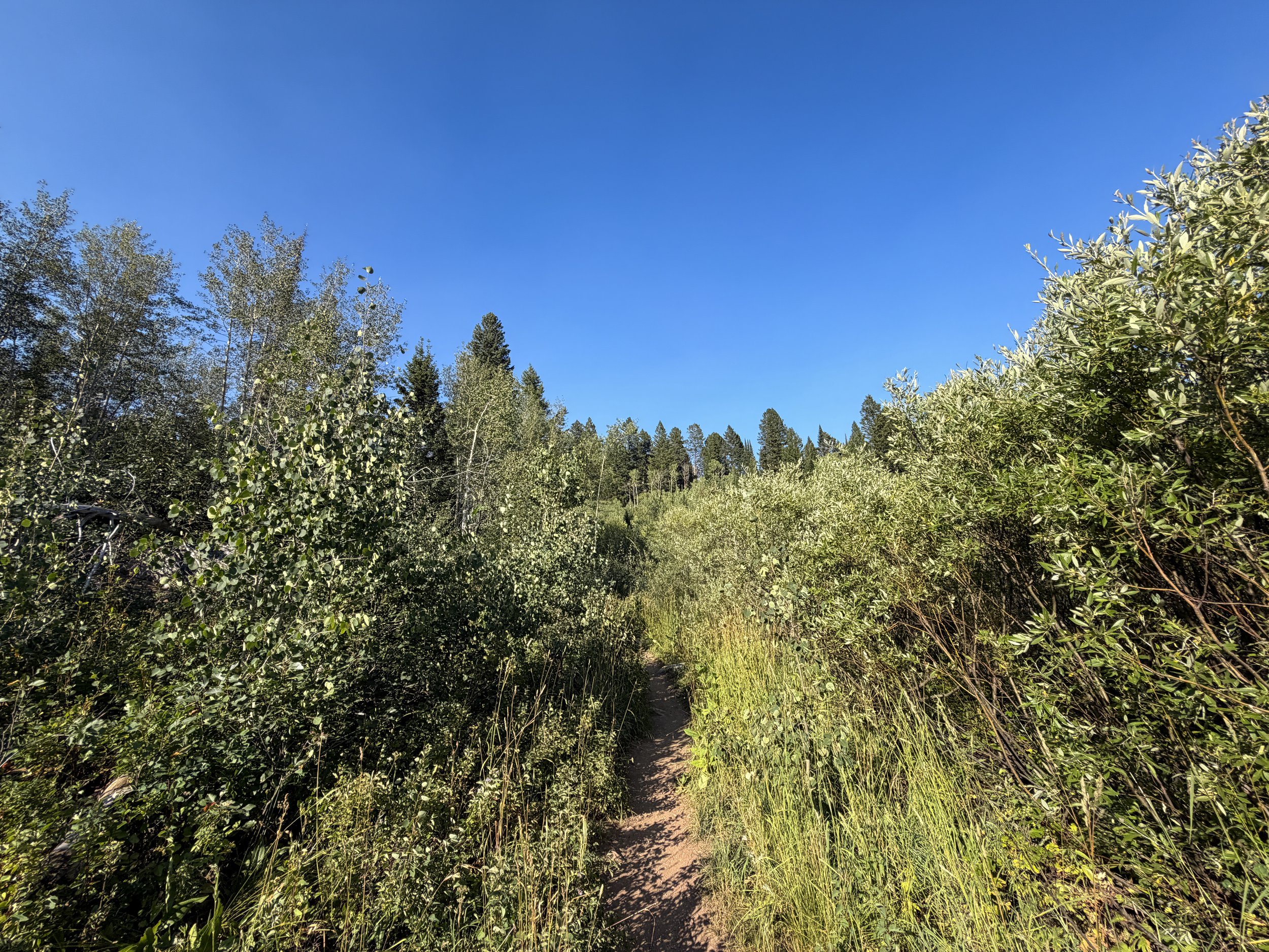 Moose Ponds Hike Grand Teton National Park Wyoming