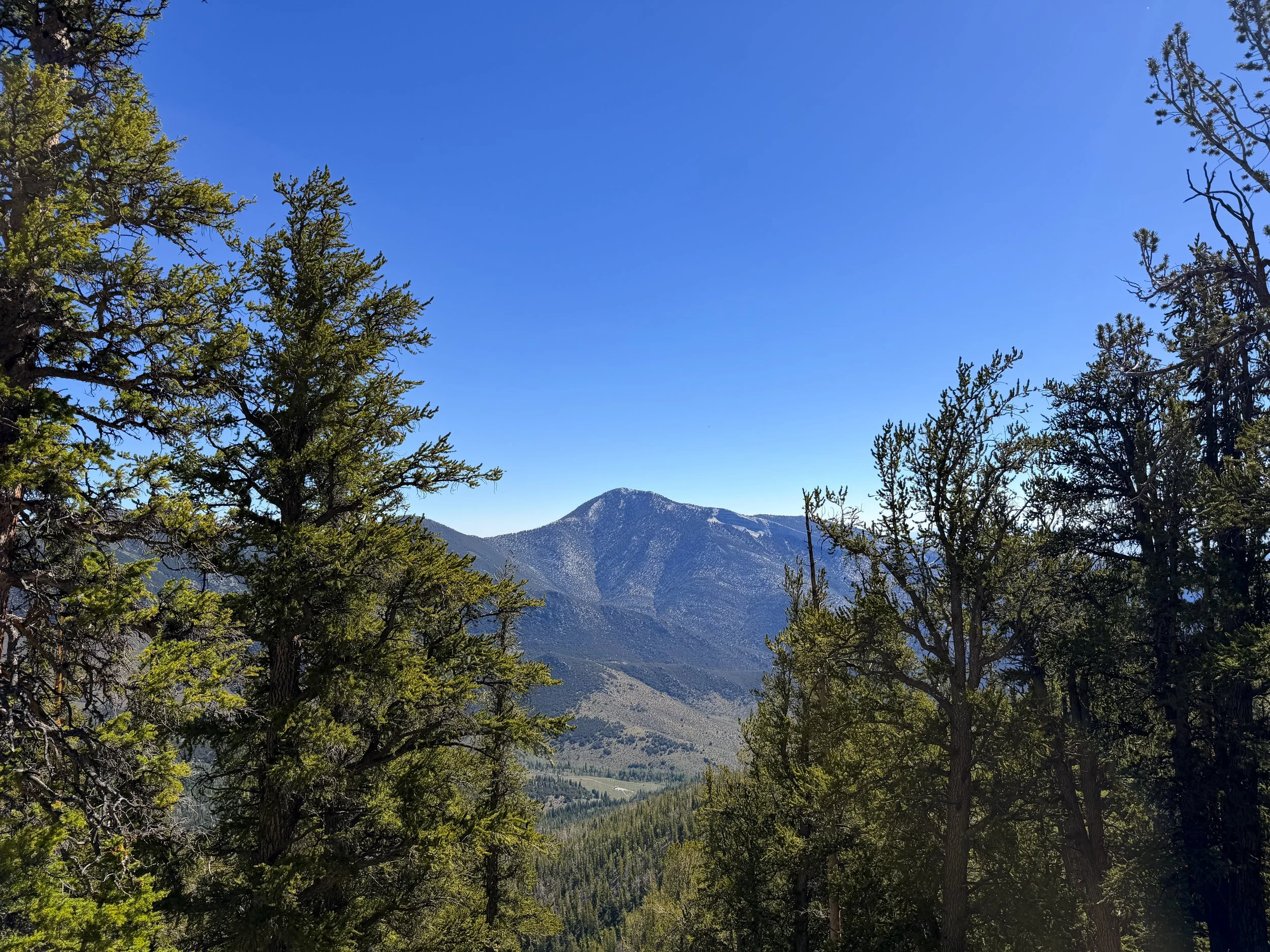 Snake Divide Trail Great Basin National Park Nevada