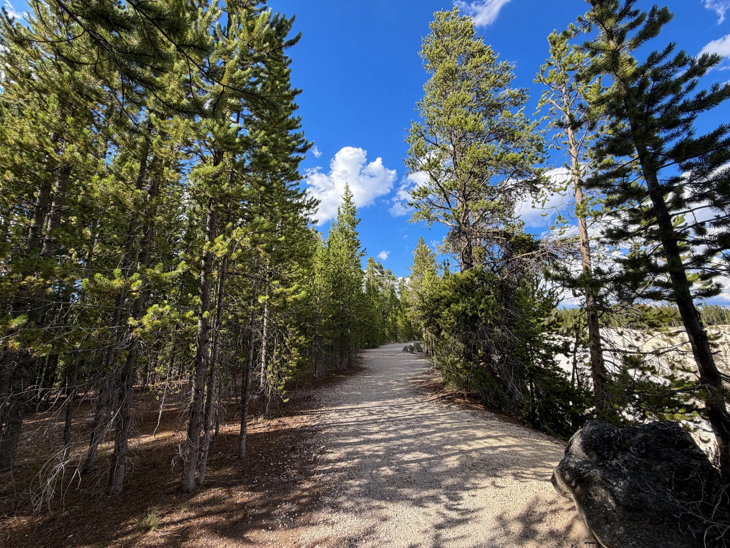 North Rim Trail Yellowstone National Park Wyoming