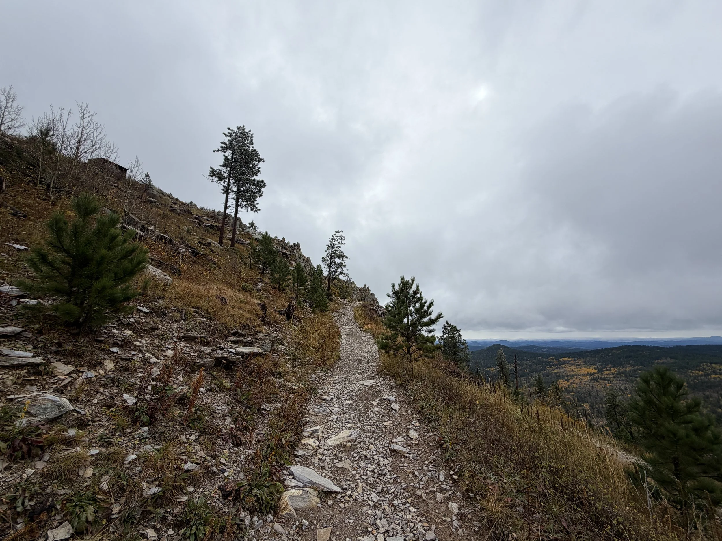 Custer Peak Trail Black Hills South Dakota