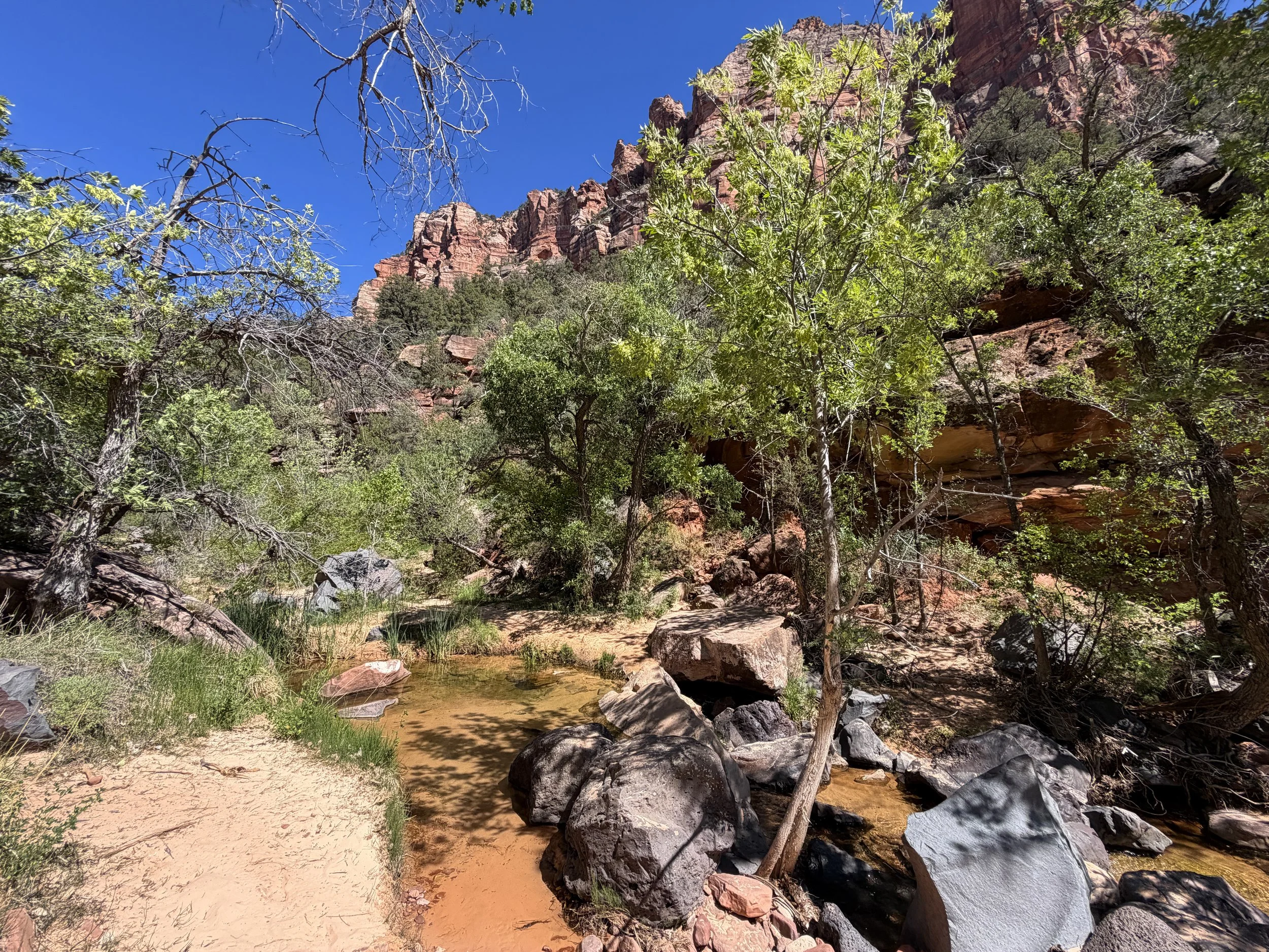 Subway Trail via Left Fork North Creek Zion National Park Utah