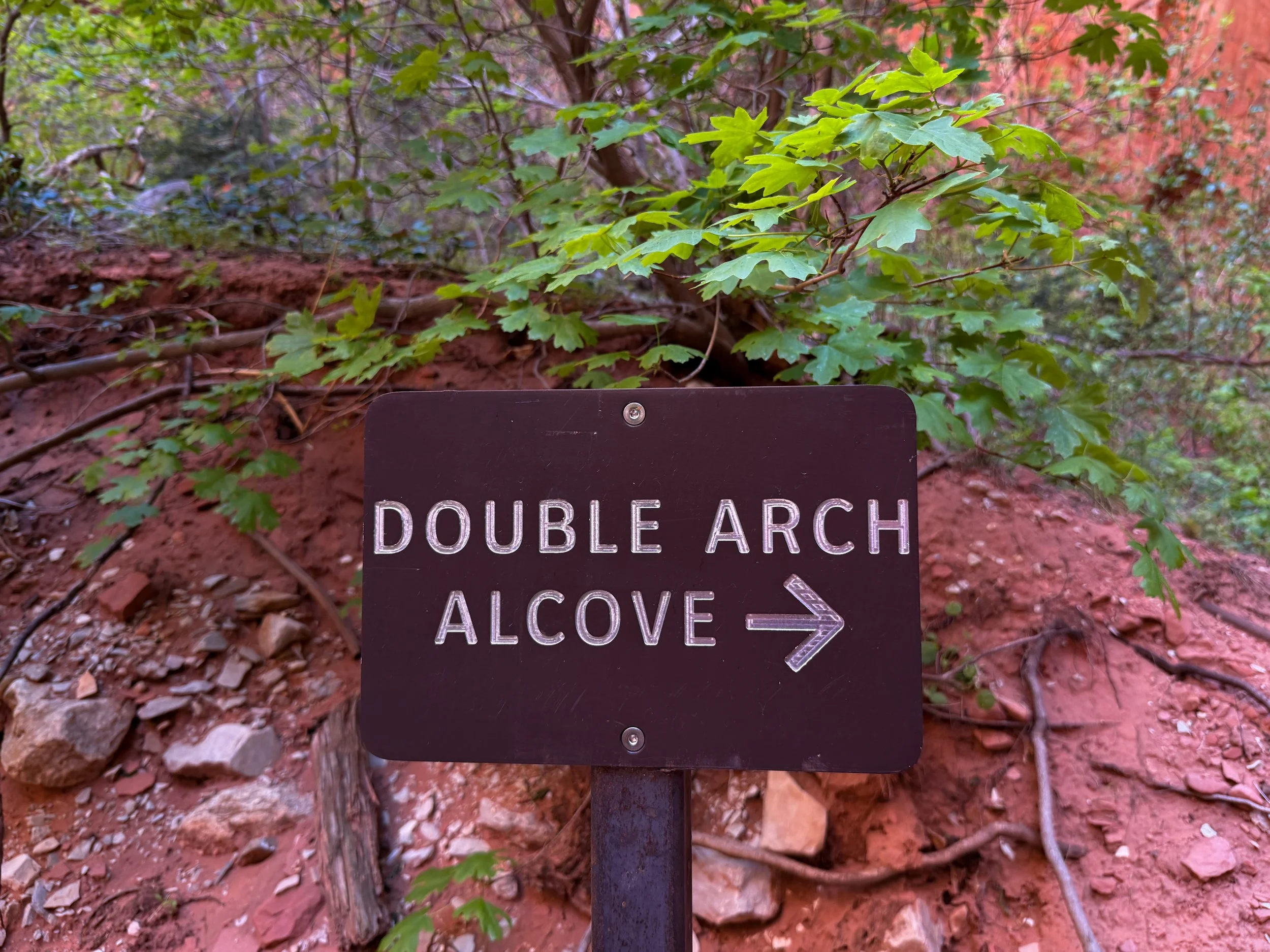 Double Arch Alcove Taylor Creek Trail Zion National Park Utah
