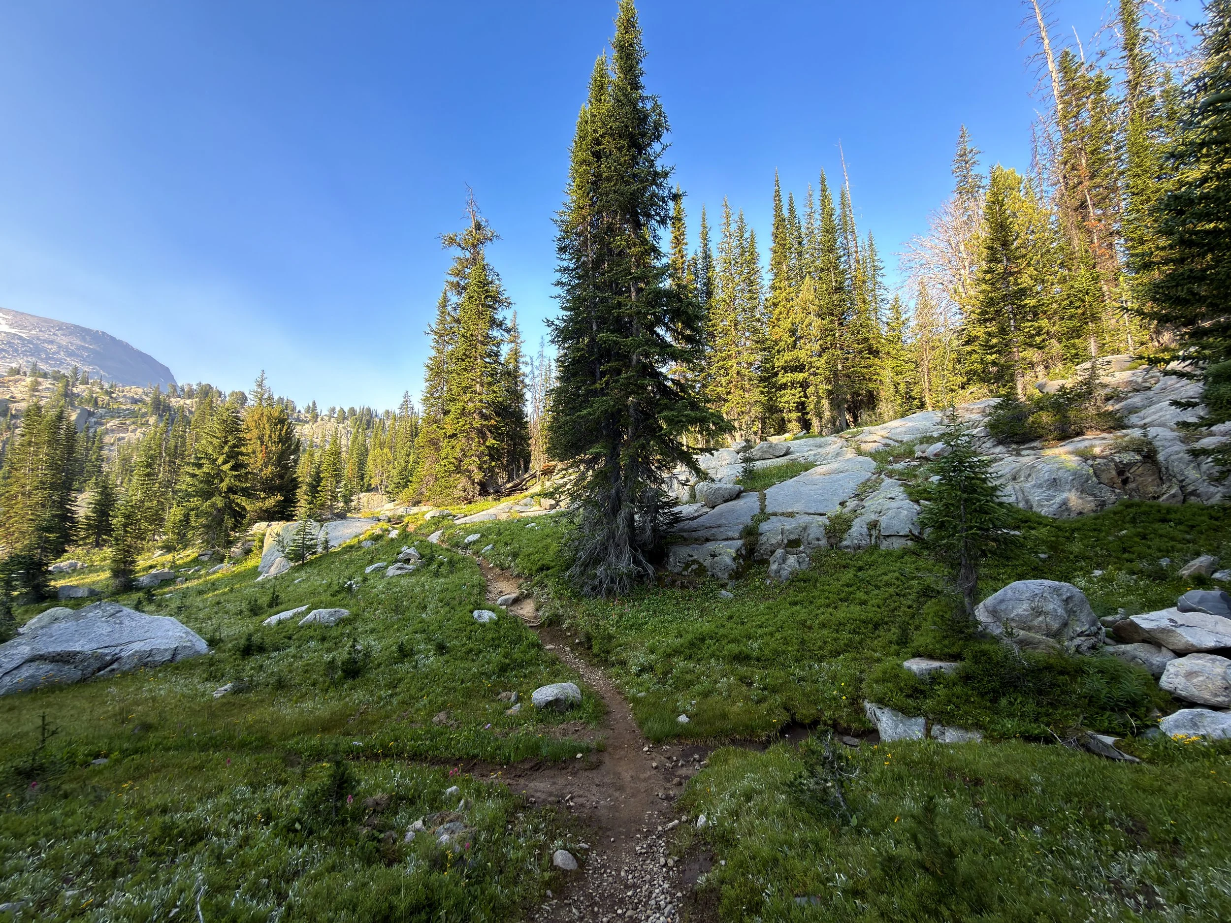 Beaten Path Trail Beartooth Mountains Montana