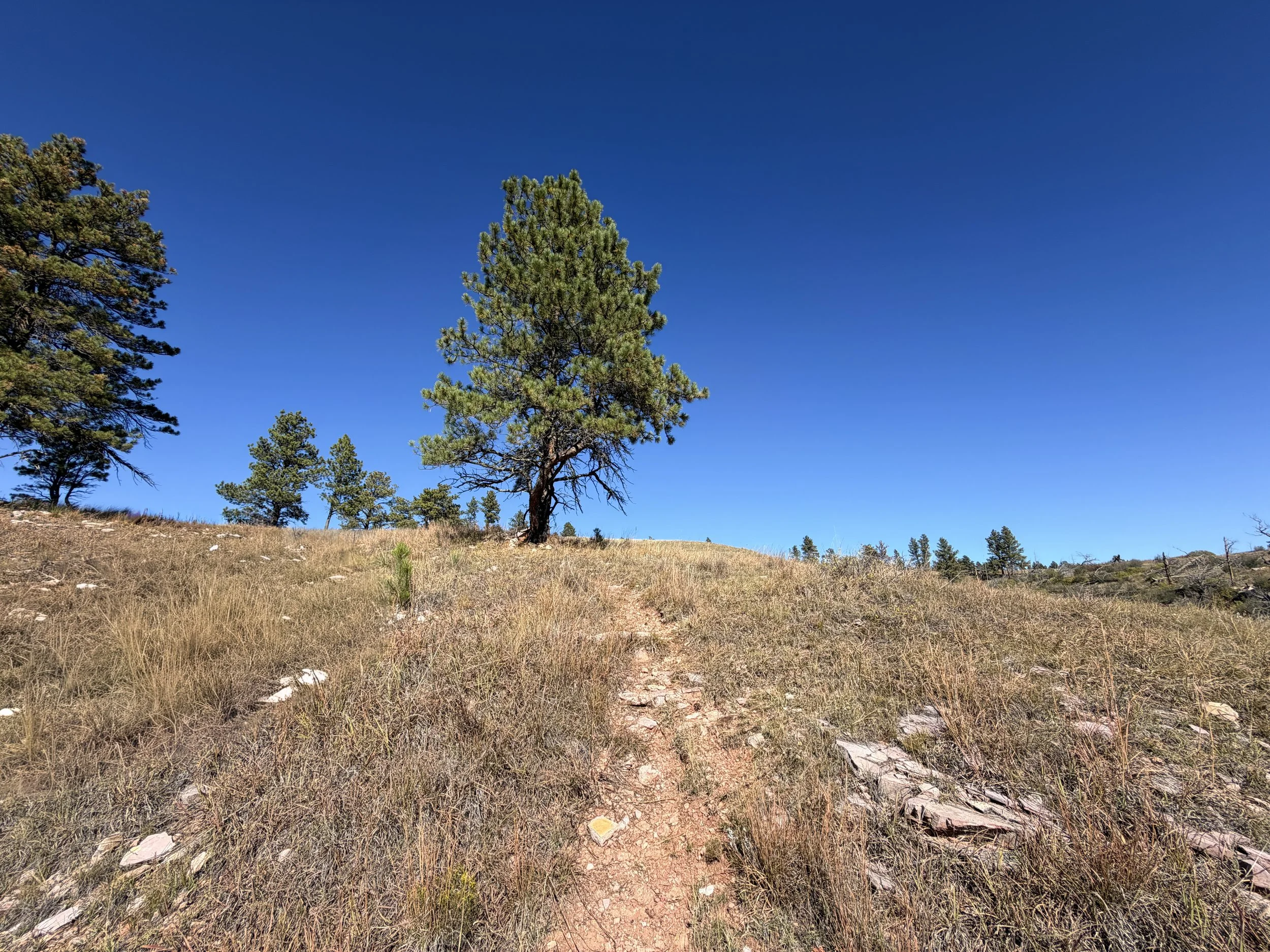 East Bison Flats Trail Wind Cave National Park South Dakota